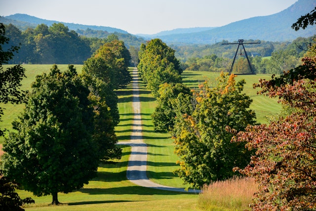 A tree-lined single-track road leads through countryside