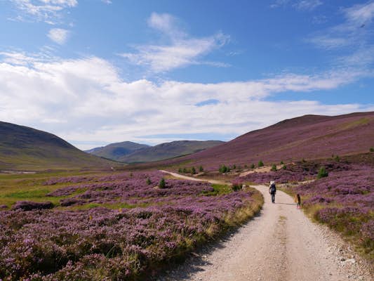The best time to visit Scotland for festivals, stunning landscapes and winter nights