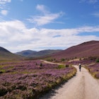 path with green vegetation and purple heather alongside, hills at the distance, blue sky with white clouds, License Type: media, Download Time: 2024-08-13T16:57:36.000Z, User: robinbarton170, Editorial: false, purchase_order: 56530, job: Global Publishing-WIP, client: 100 Weekends in Europe 1, other: Robin Barton