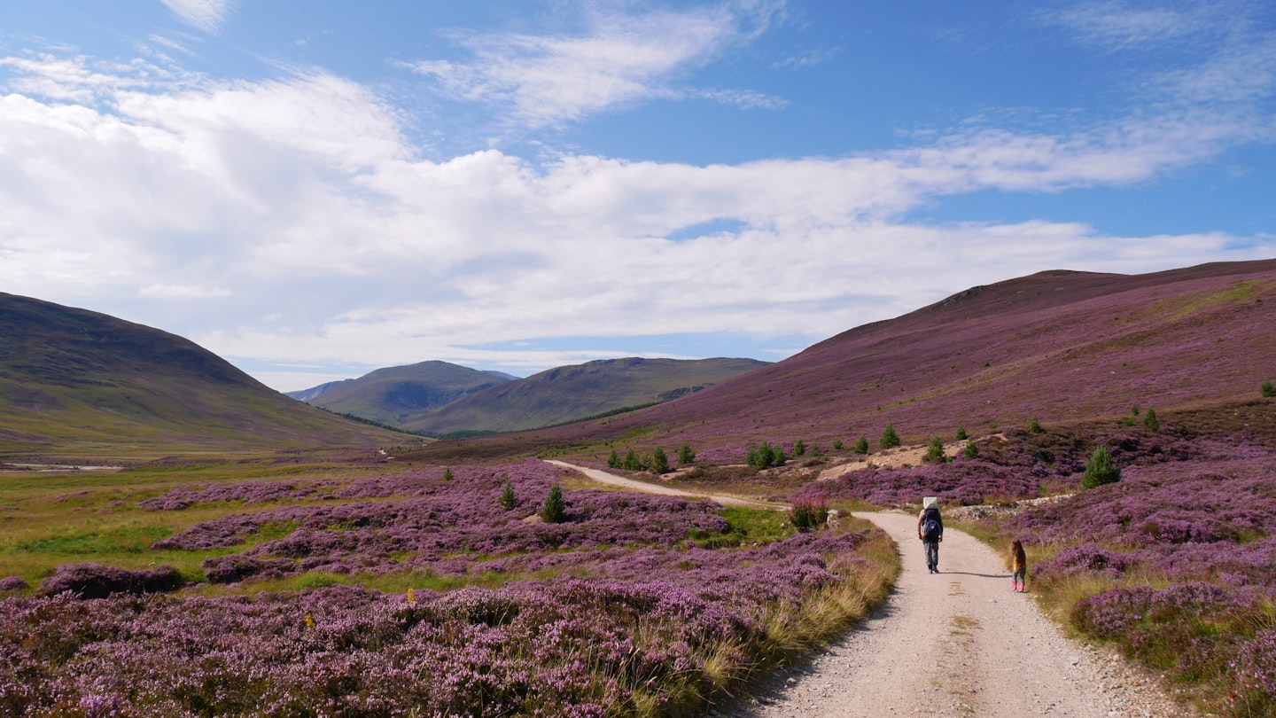 path with green vegetation and purple heather alongside, hills at the distance, blue sky with white clouds, License Type: media, Download Time: 2024-08-13T16:57:36.000Z, User: robinbarton170, Editorial: false, purchase_order: 56530, job: Global Publishing-WIP, client: 100 Weekends in Europe 1, other: Robin Barton
