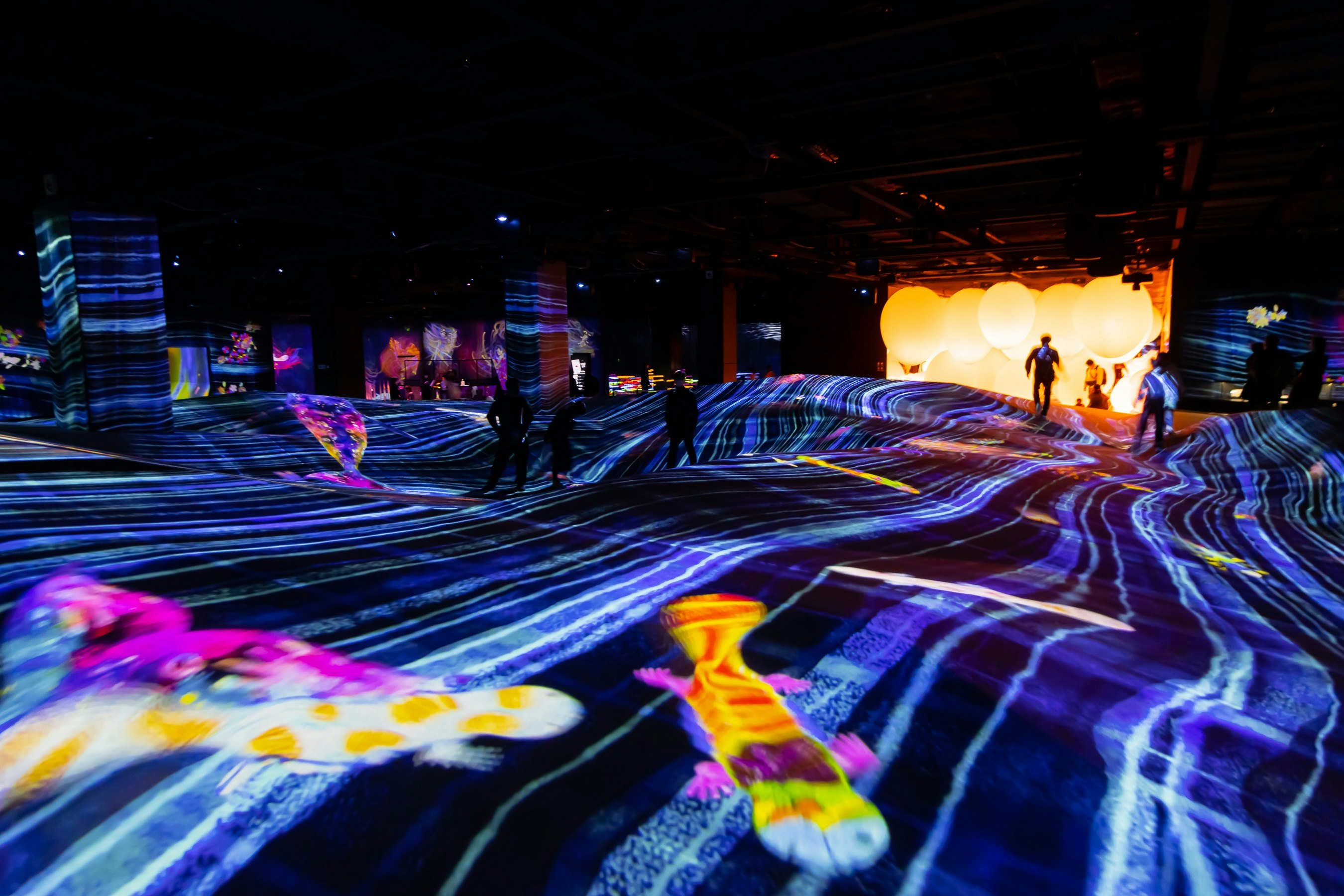 Digital Arts being exhibited at TeamLab Borderless, augmented reality and virtual reality themed museum where visitor can be a part of arts.