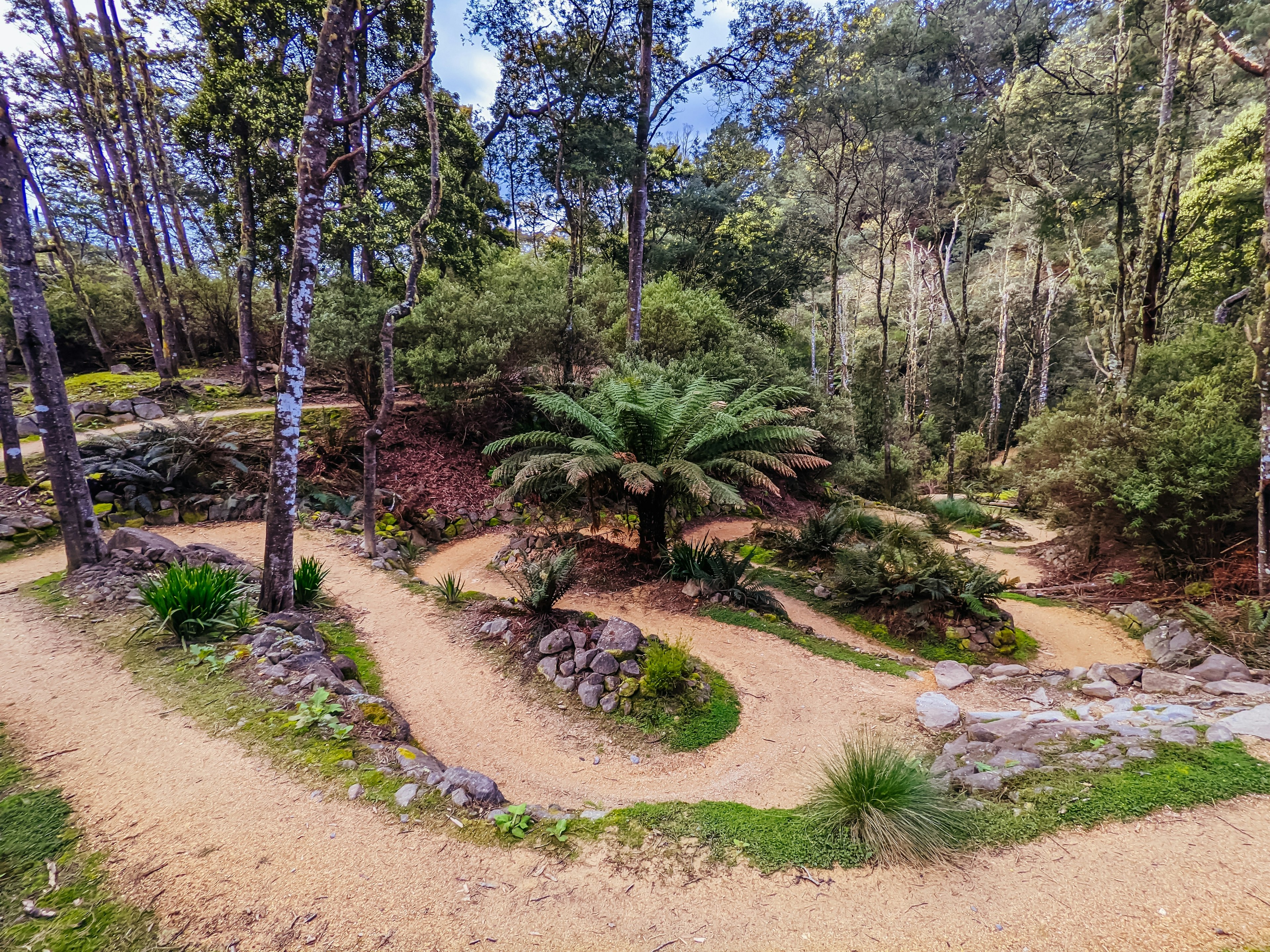 DERBY, AUSTRALIA - SEPTEMBER 24, 2022: Axehead trail at the popular and Blue Derby mountain bike trail network during springtime in Derby, Tasmania, Australia, License Type: media, Download Time: 2024-10-03T18:54:10.000Z, User: tasminwaby56, Editorial: false, purchase_order: 65050, job: Online Editorial, client: Tasmania outdoors, other: Tasmin Waby