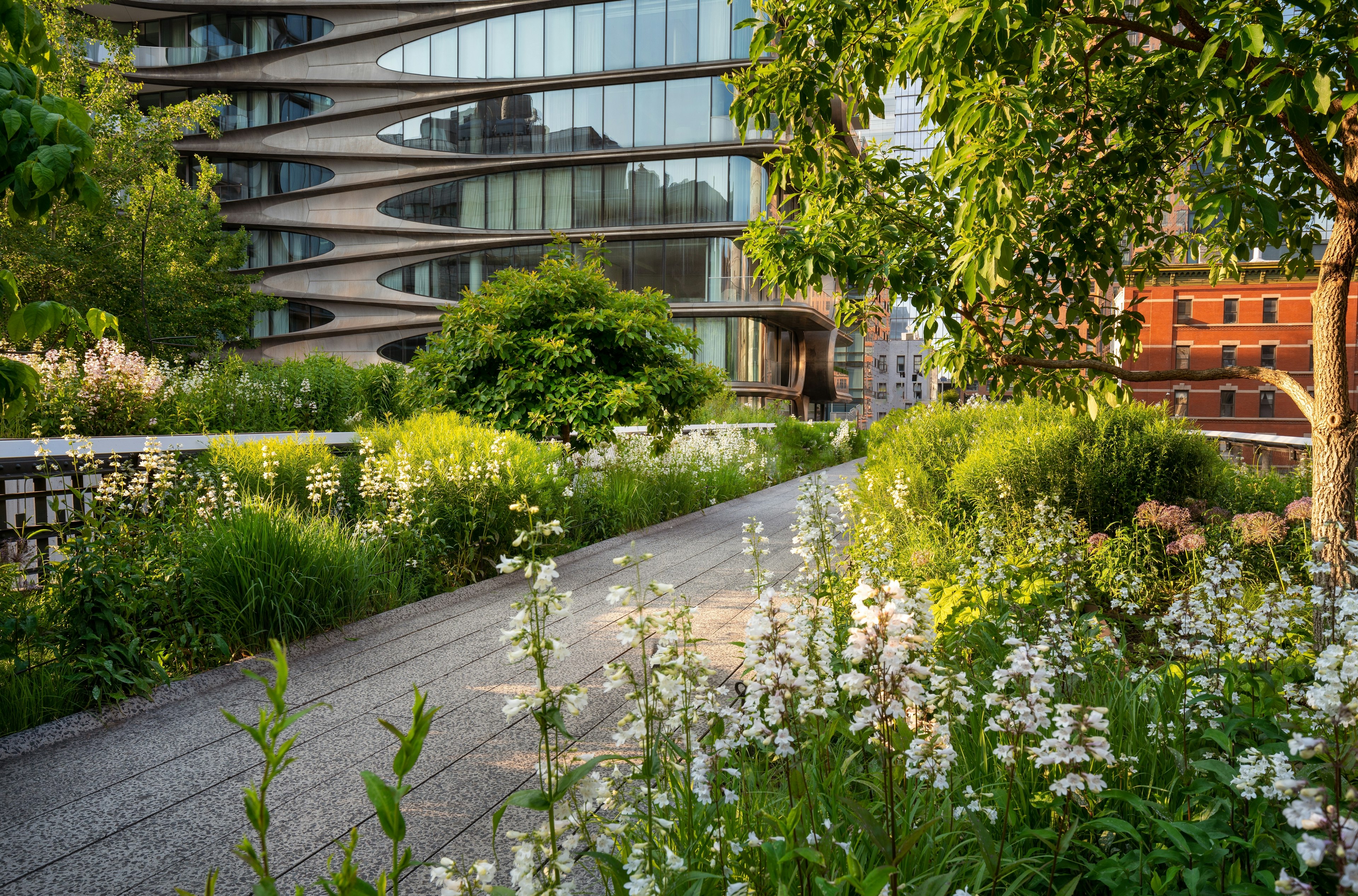 The High Line promenade in summer. Elevated greenway park in the heart of Chelsea, Manhattan. New York City.