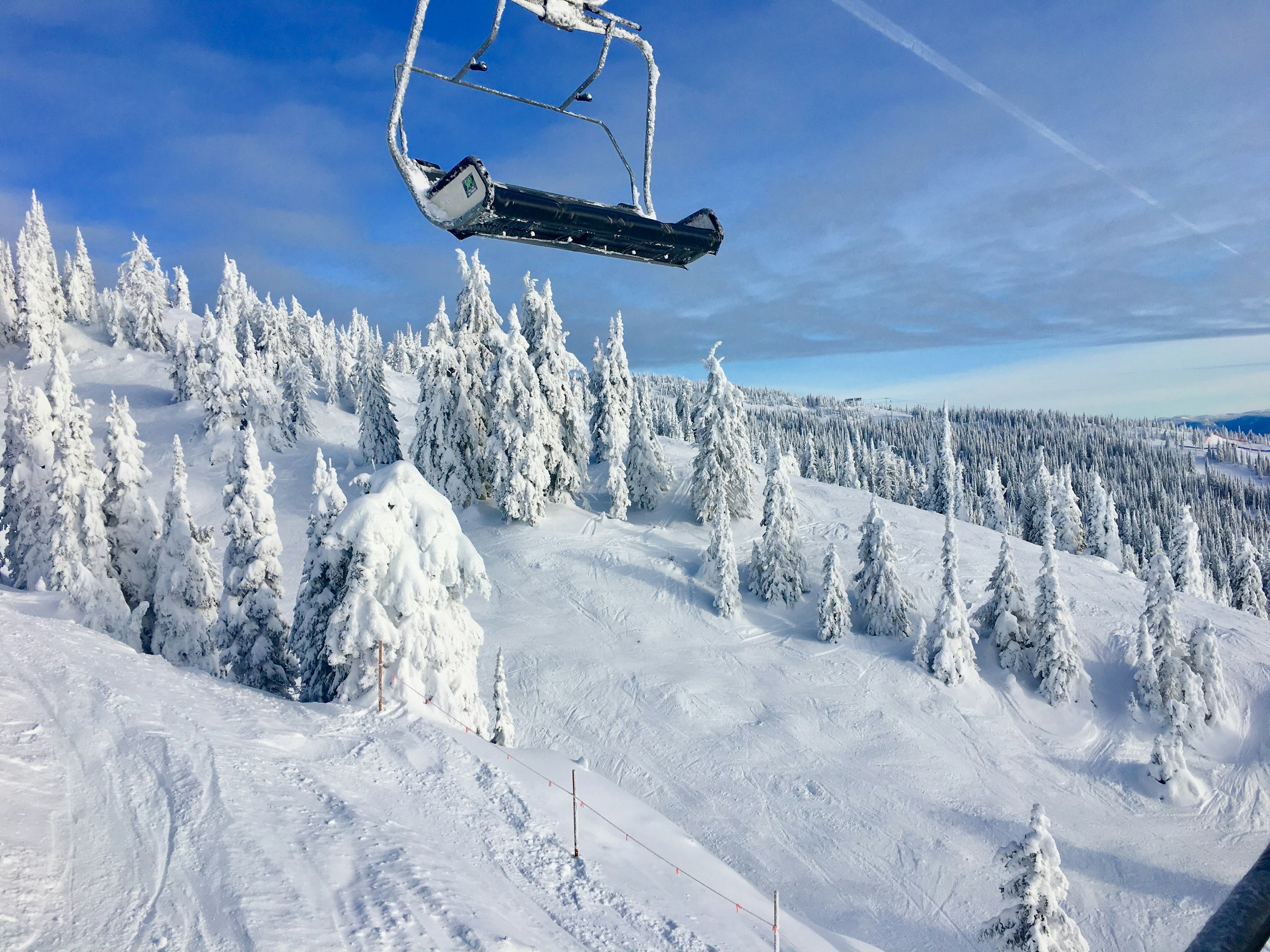 A chair life passes above a forest of frozen trees at the top of a ski slope