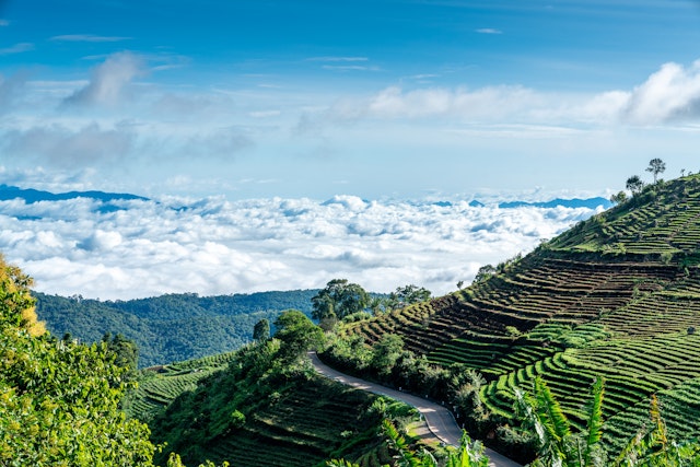 A view of the morning cloud inversion in the highland mountains with rice paddies rising up the slopes, Mon Jam, Mae Rim, Chiang Mai, Thailand