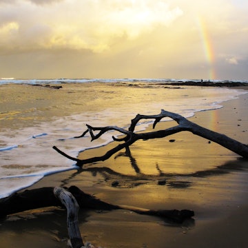 A branch lies on the beach at sunset on Driftwood Beach in Jekyll Island