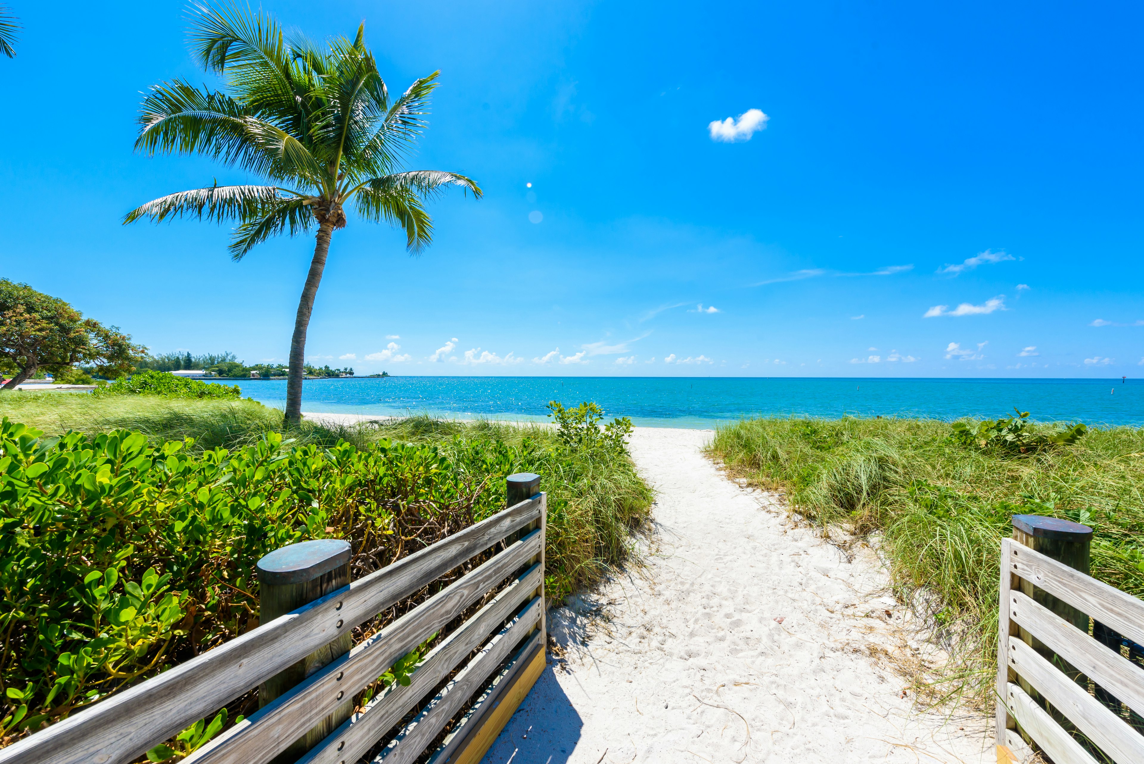 A sandy pathway through plants leading down to a gorgeous stretch of white-sand beach