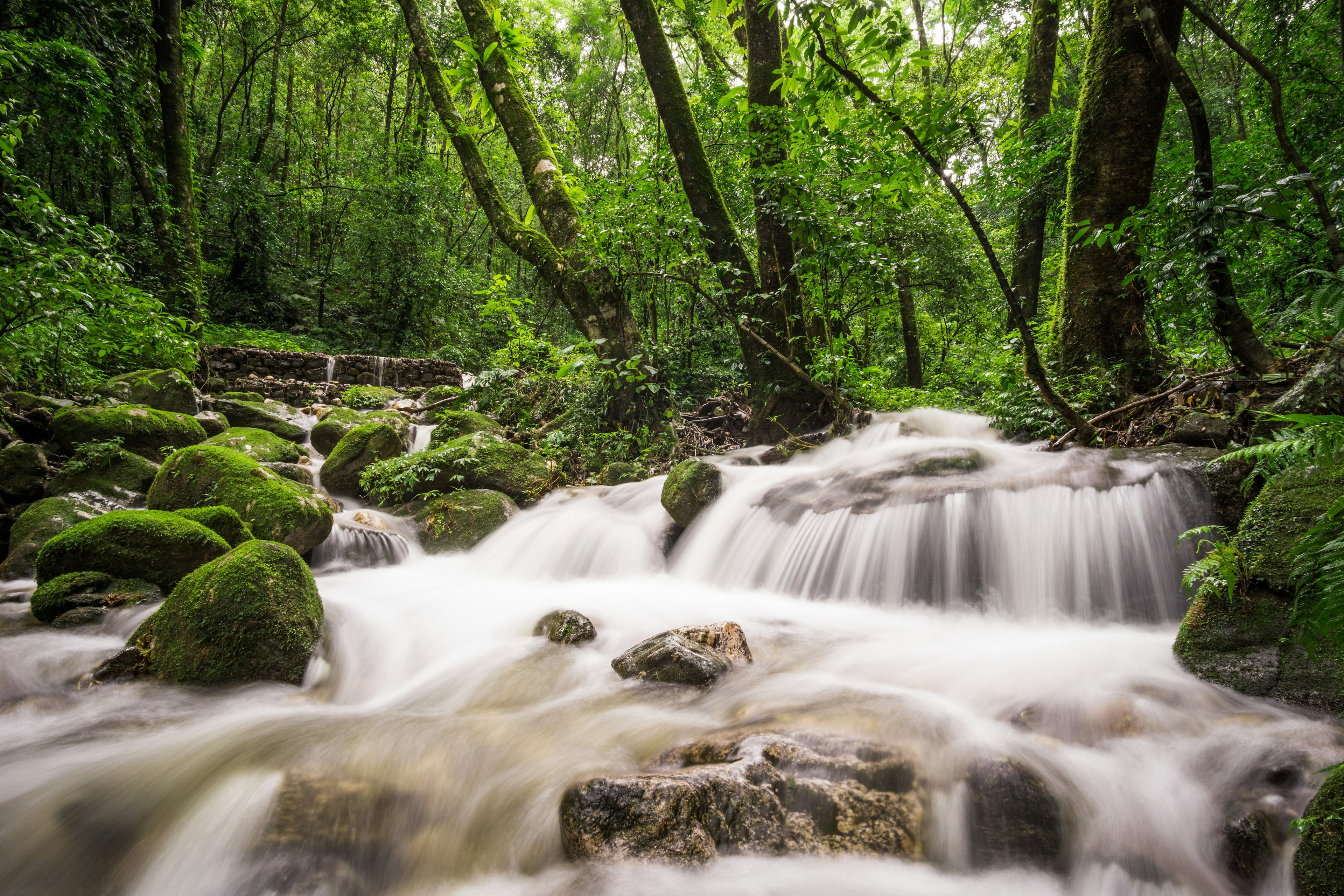 Waterfall at Shivapuri national park, nearby Kathmandu, Nepal.