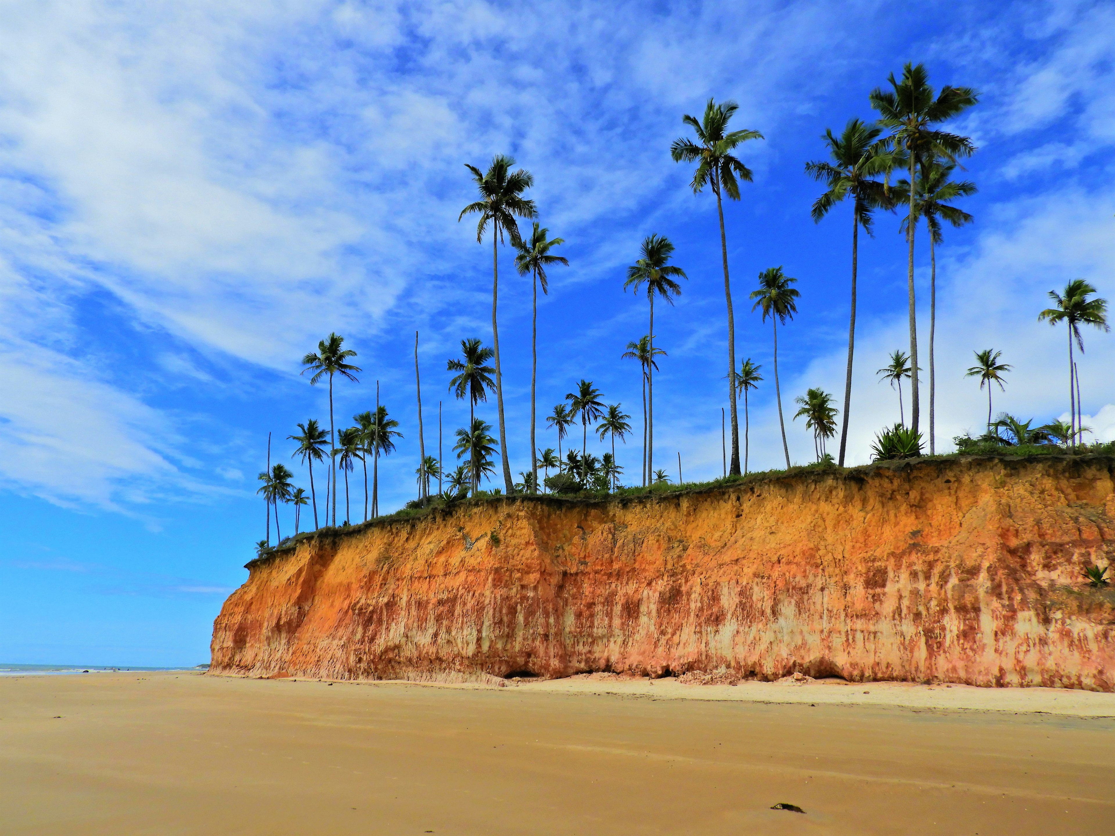 Cliff at Cumuruxatiba beach.