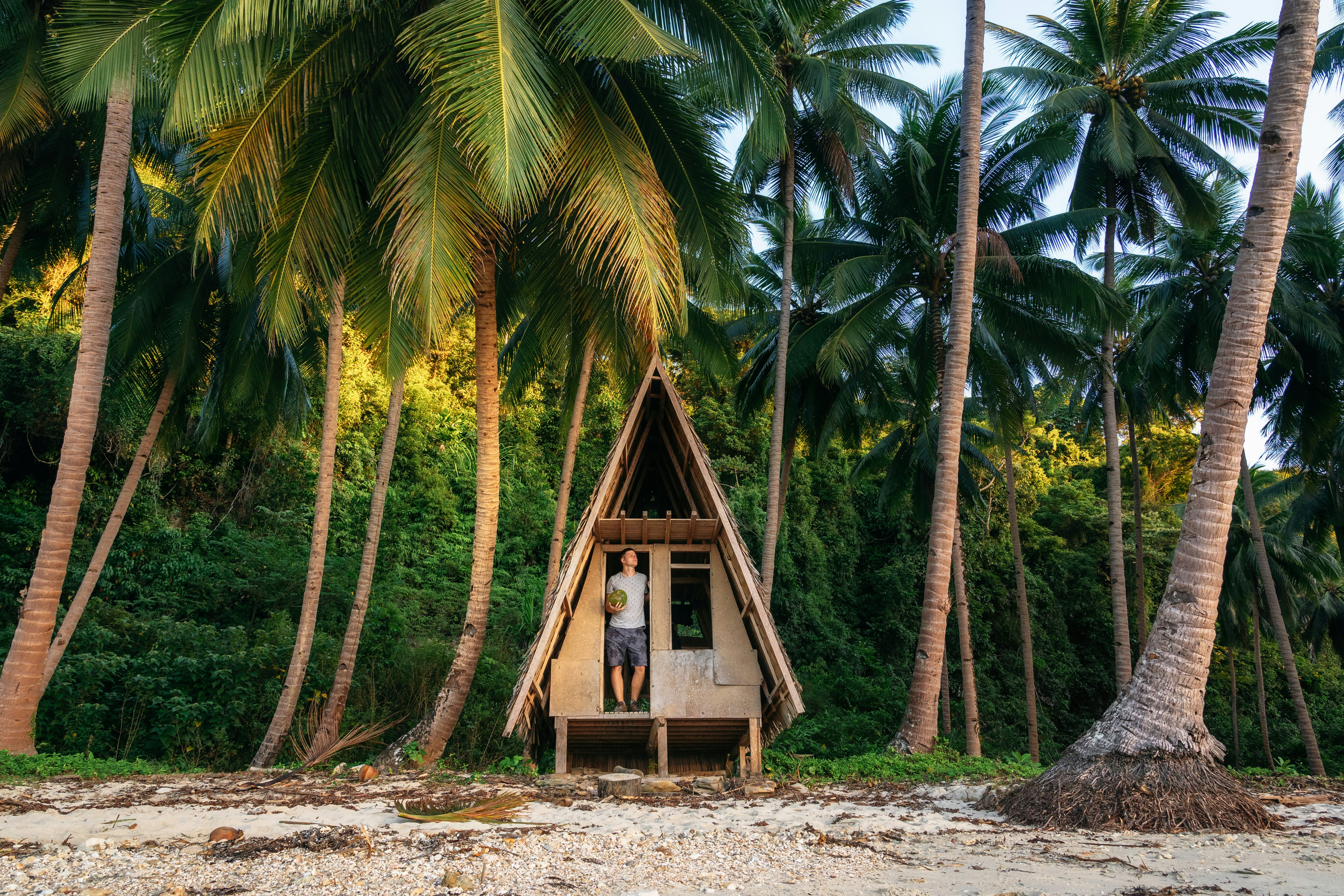 Man stands in doorway of hut and holds coconut in his hands. Behind him there is a jungle, in Port Barton, Philippines