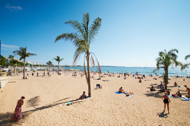Bright blue sea and skies at a beach at Barcelona, where sunbathers are lying on golden sand studded with palm trees.