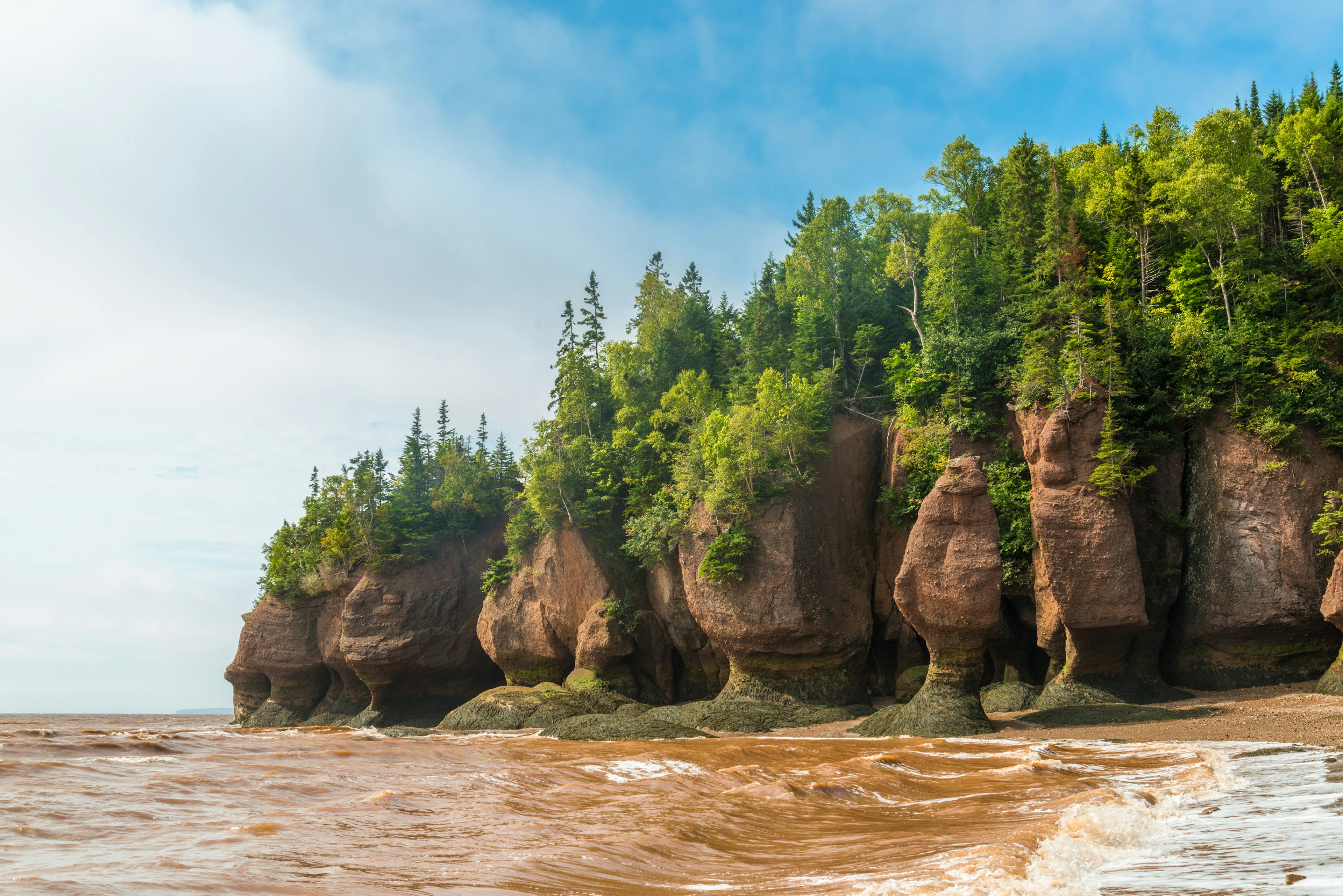 The flowerpot formations of Hopewell Rocks at low tide.