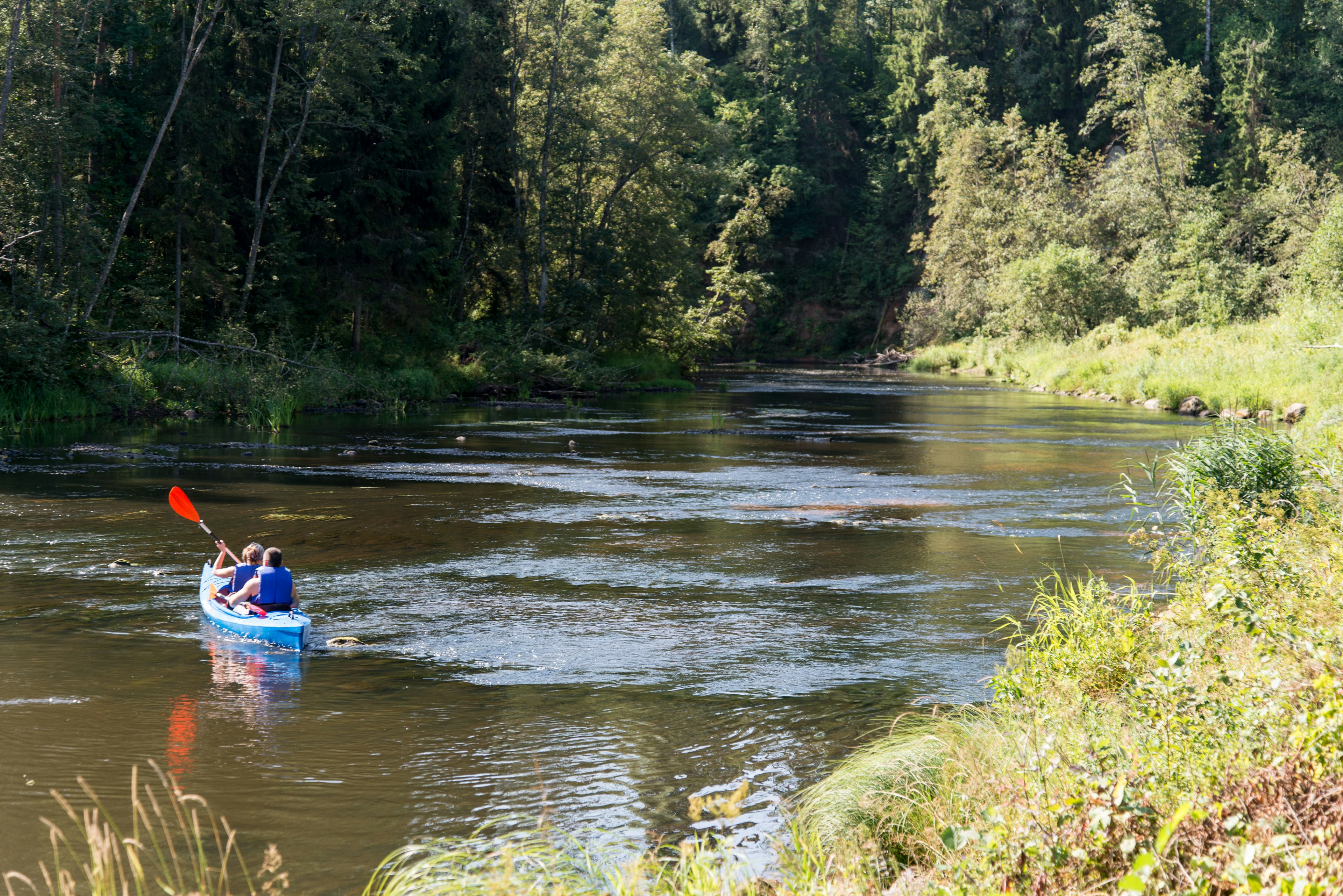 Tourists enjoying water sports, kayaking in a wild river in Latvia