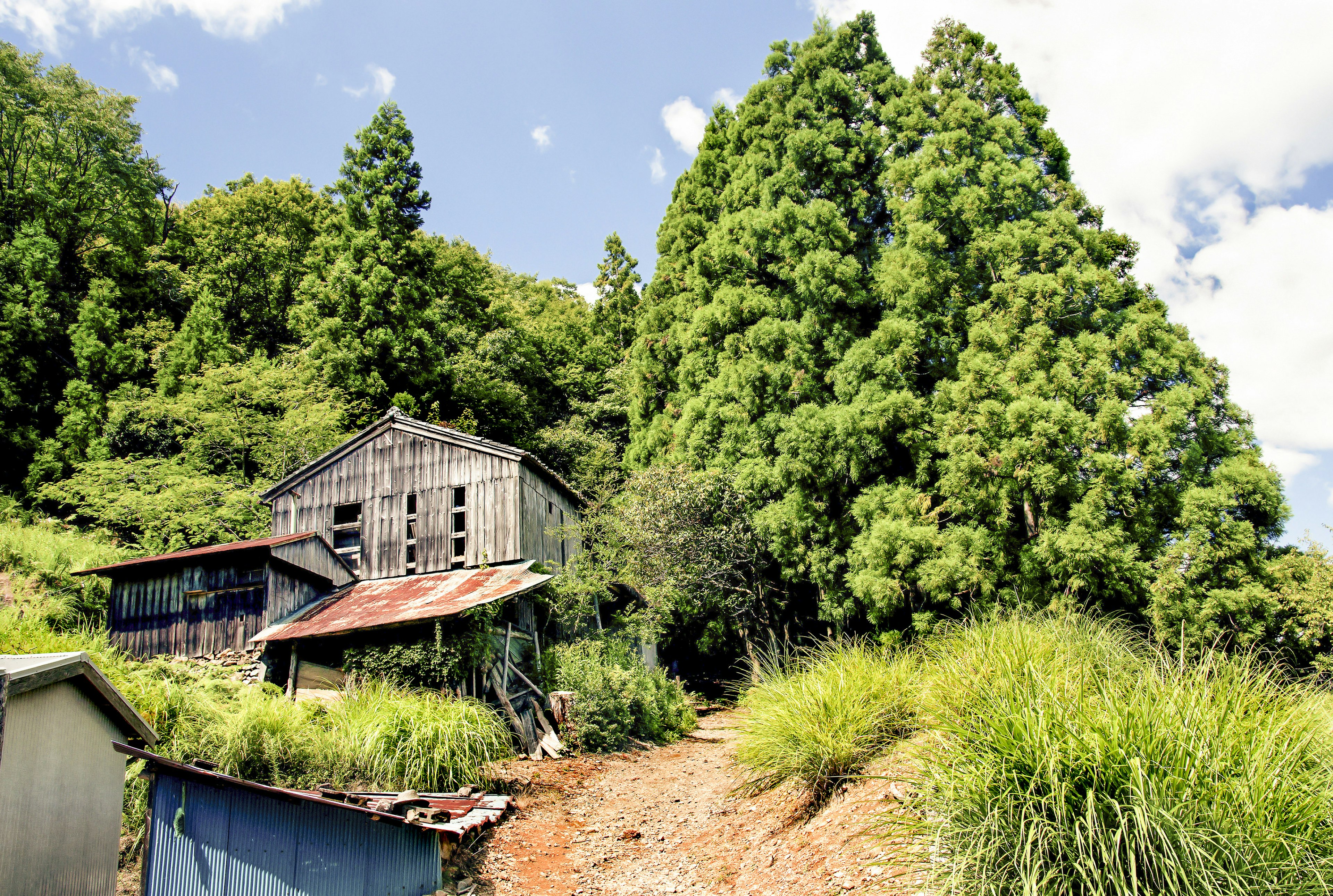 An old farmhouse along the trail on the Kumano Kodō, tall trees and a cloudy sky in the background.