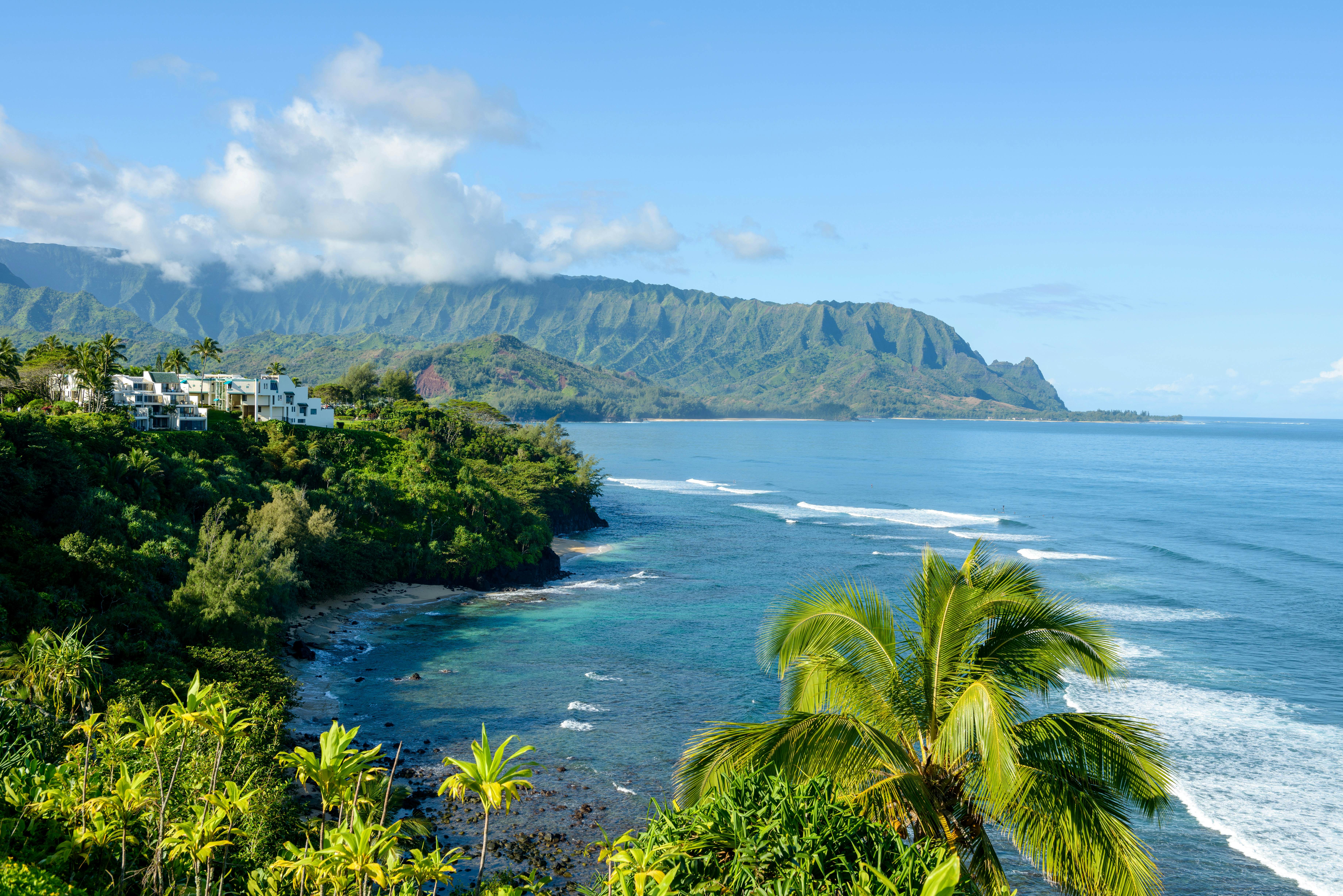 Hanalei Bay - Overlook of Hanalei Bay at the north shore of Kauai, Hawaii, USA.
361512464
fog, usa, shore, storm, north, cloud, lawn, kauai, panoramic, morning, overview, village, wave, season, beach, plant, december, mist, mountain, bay, scenic, cliff, sea, nature, coastline, cloudscape, overlook, landscape, hanalei, princeville, tree, coast, pali, tropical, or, travel, view, wide, destinations, valley, islands, pacific, tourist, front, place, climate, famous, ridge, high, scene, yard, back, resort, angle, tranquil, palm, hawaii, ocean, na