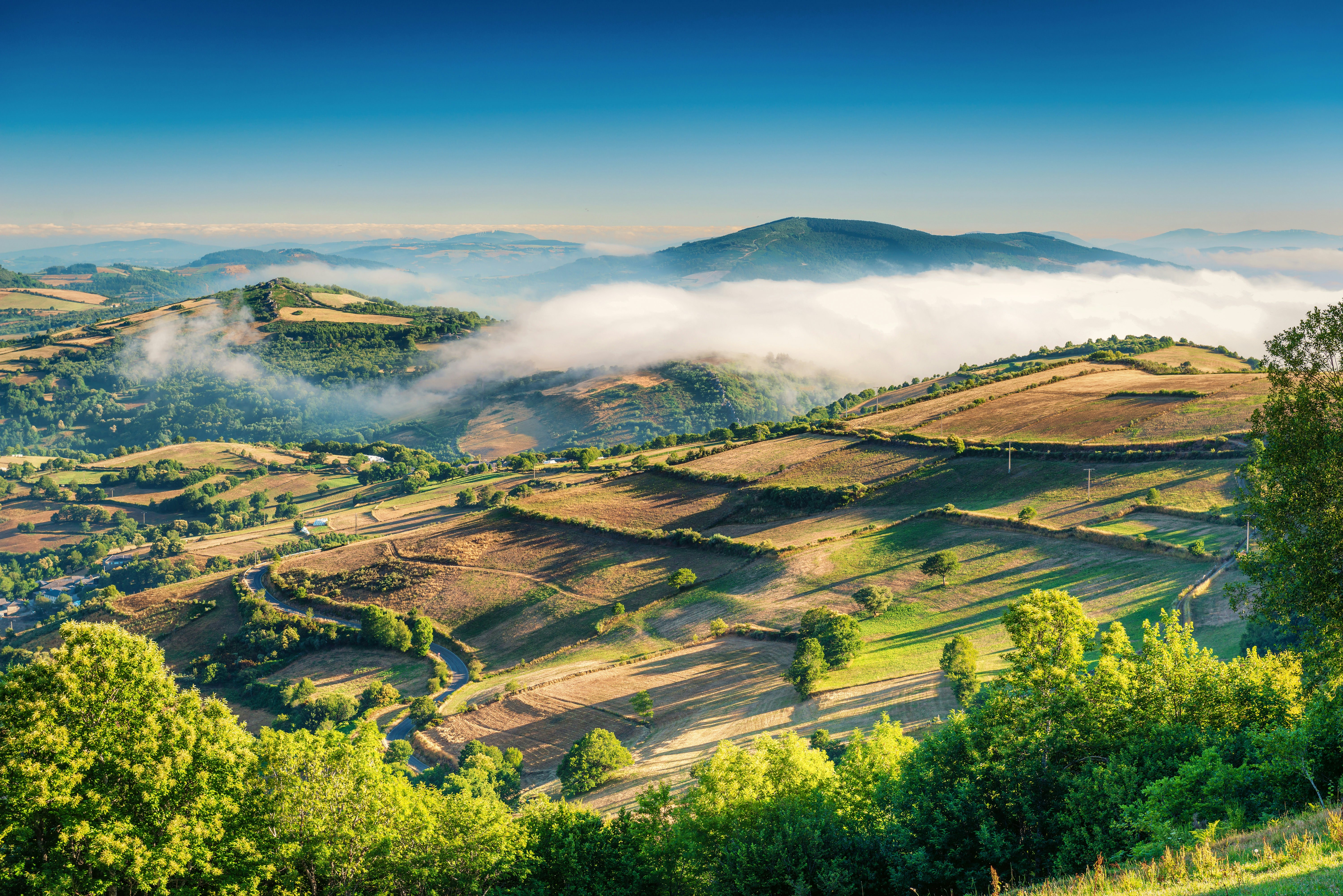 The fertile green landscape of Galicia.