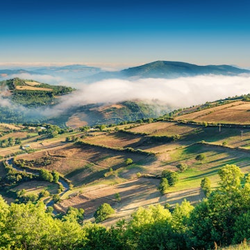 The fertile green landscape of Galicia