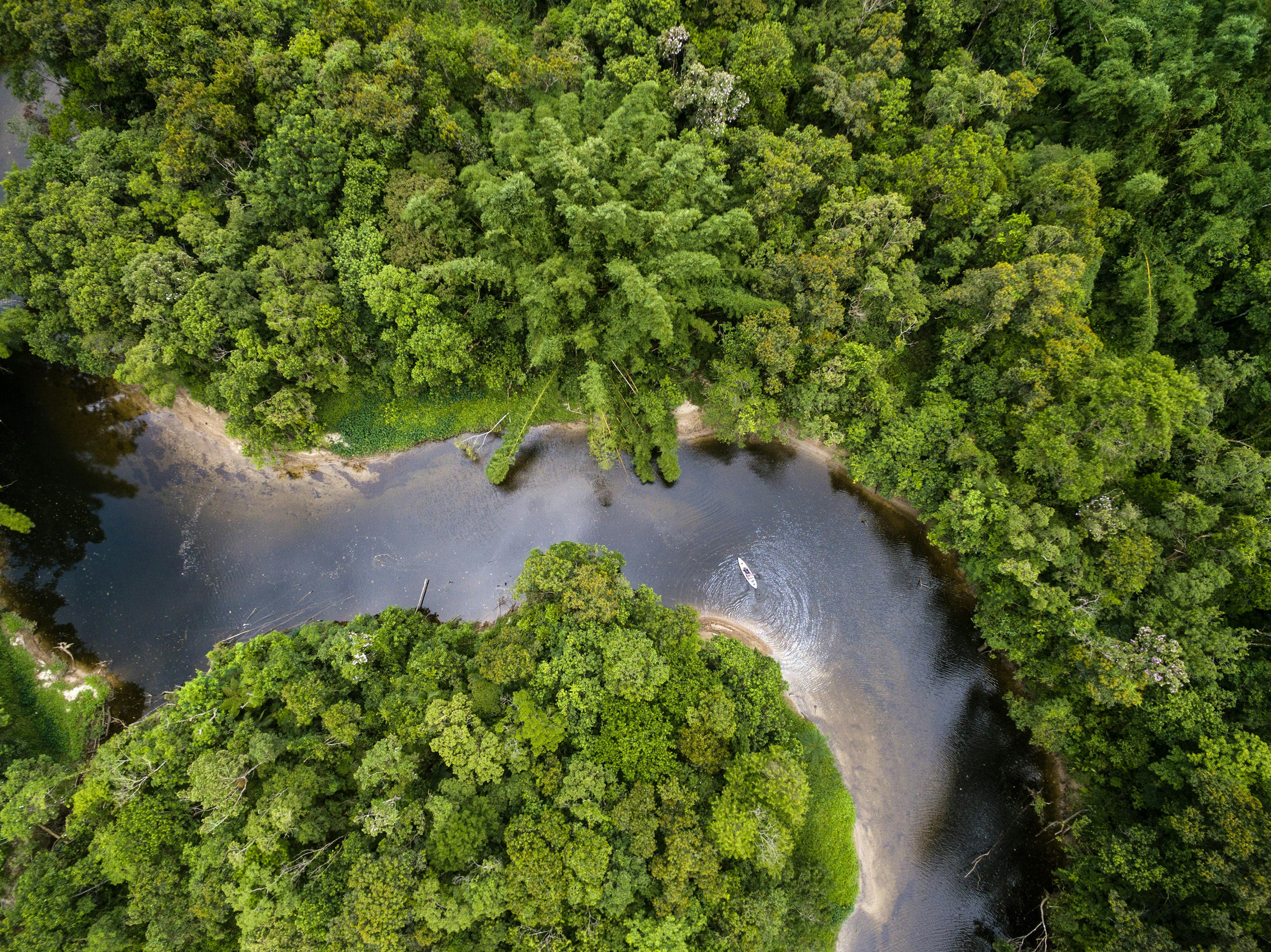 Aerial of a kayaker in a river in the Amazon Rainforest.