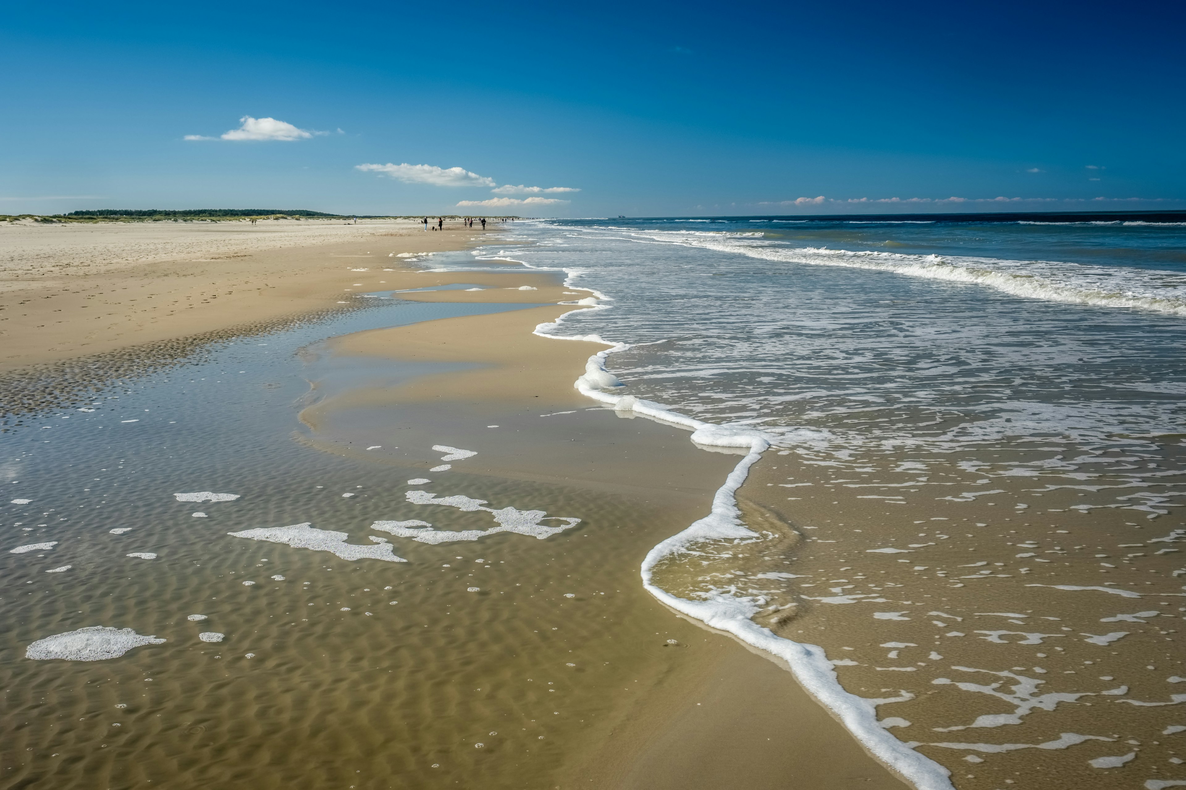 The sun is shining on a September afternoon when walking along the Wadden Sea and the gorgeous coastline of the Dutch Wadden Isle of Schiermonnikoog.
763889197
schiermonnikoog, island, netherlands, water, tide, ebb, sea, coast, shore, sand, reflection, waves, landscape, horizon, autumn, summer, september, travel, holiday, sky, blue, sunshine, beach, ocean, nature, background, sunny, vacation, tourism, beautiful, relax, paradise, coastline, sunlight, outdoor, calm, seascape, idyllic, scenic, clear, season, tranquil, summertime, view, friesland, west frisian islands