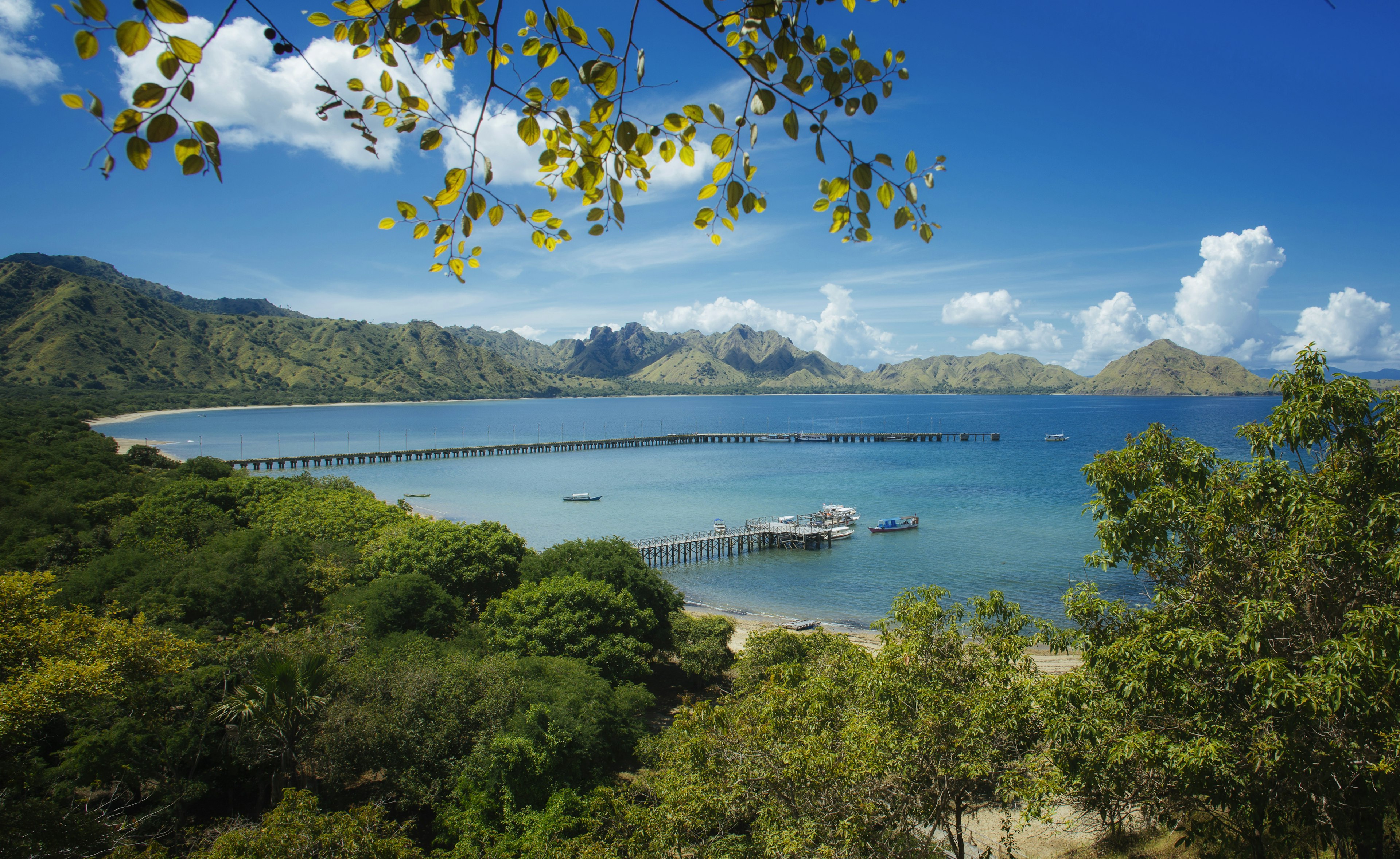 Komodo Island, Indonesia.