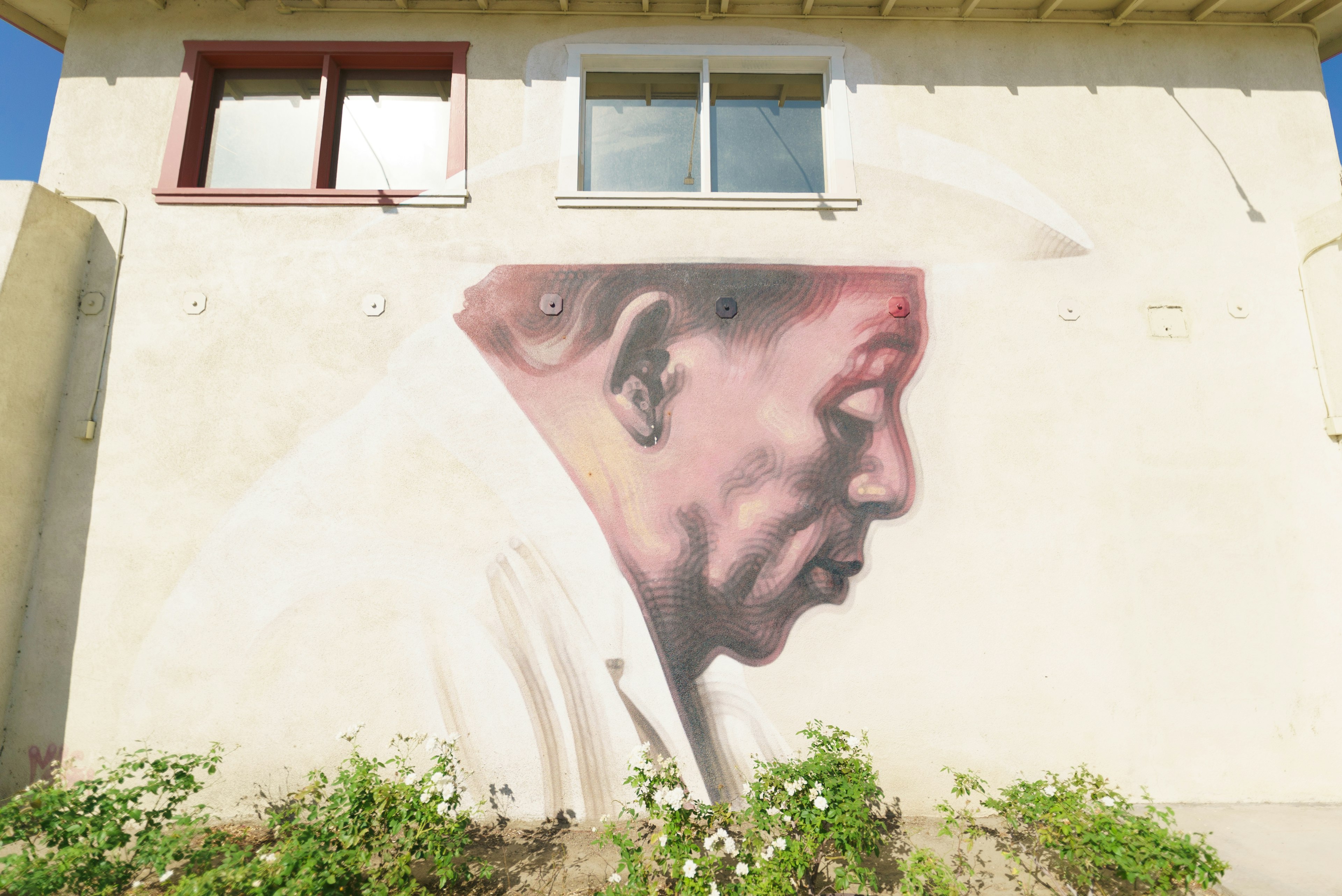 A painted mural on a wall shows a hispanic man in typical farm working clothing, with a brimmed hat, as he gazes downward and to the right