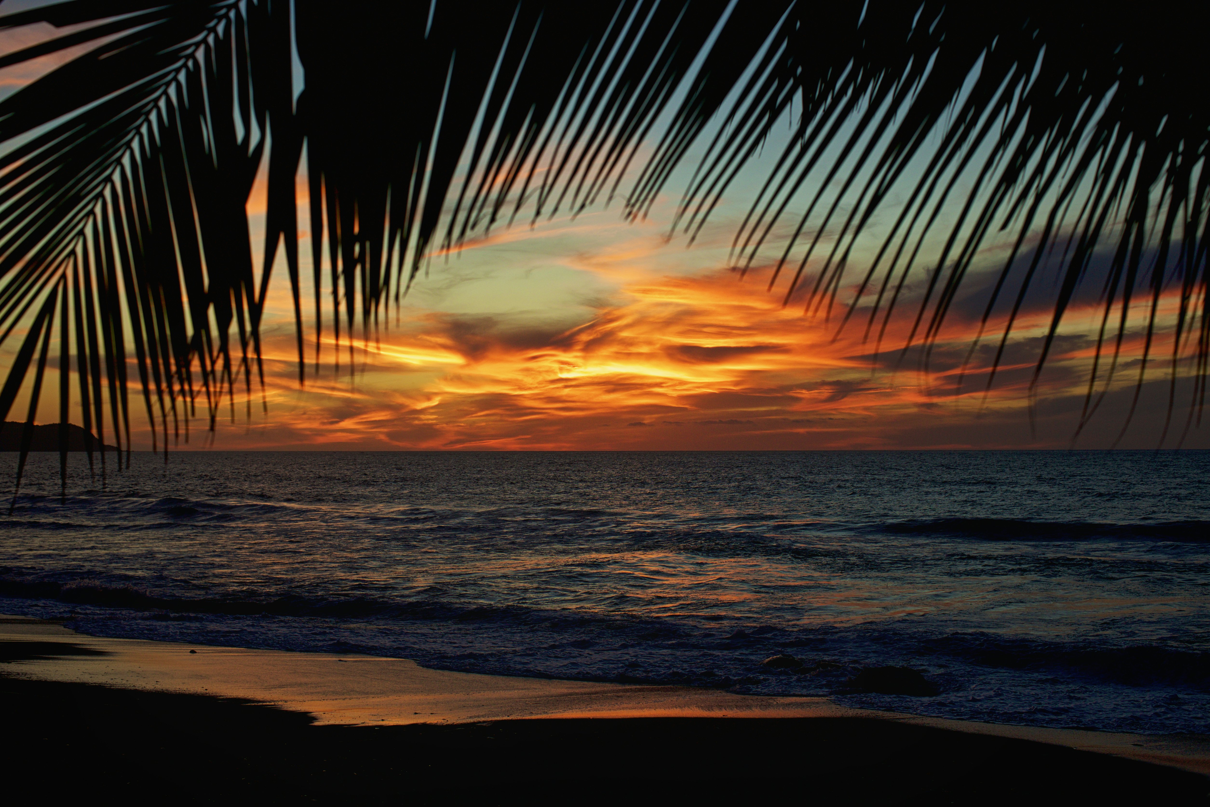 Idyllic, scenic sunset sky over tranquil ocean framed by palm fronds