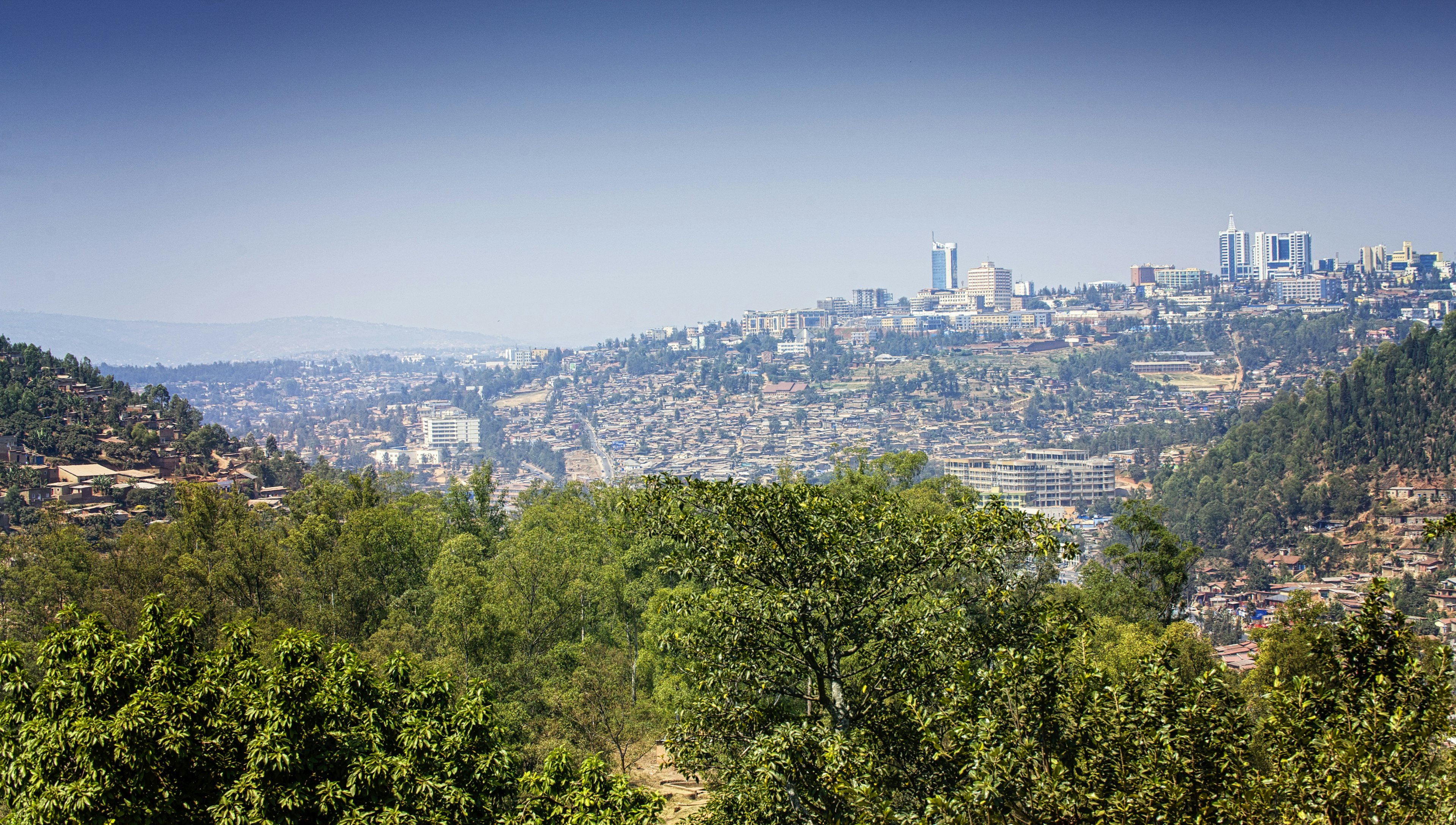 A small hillside city surrounded by greenery and woodland