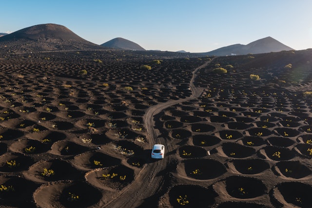 A car drives among the uniquely planted vines in La Geria, Lanzarote, Spain