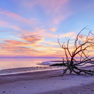 Boneyard Beach on Big Talbot Island, Jacksonville, Florida, USA with the Nassau Sound in the background. Photo taken early morning shortly before sunrise
499816975