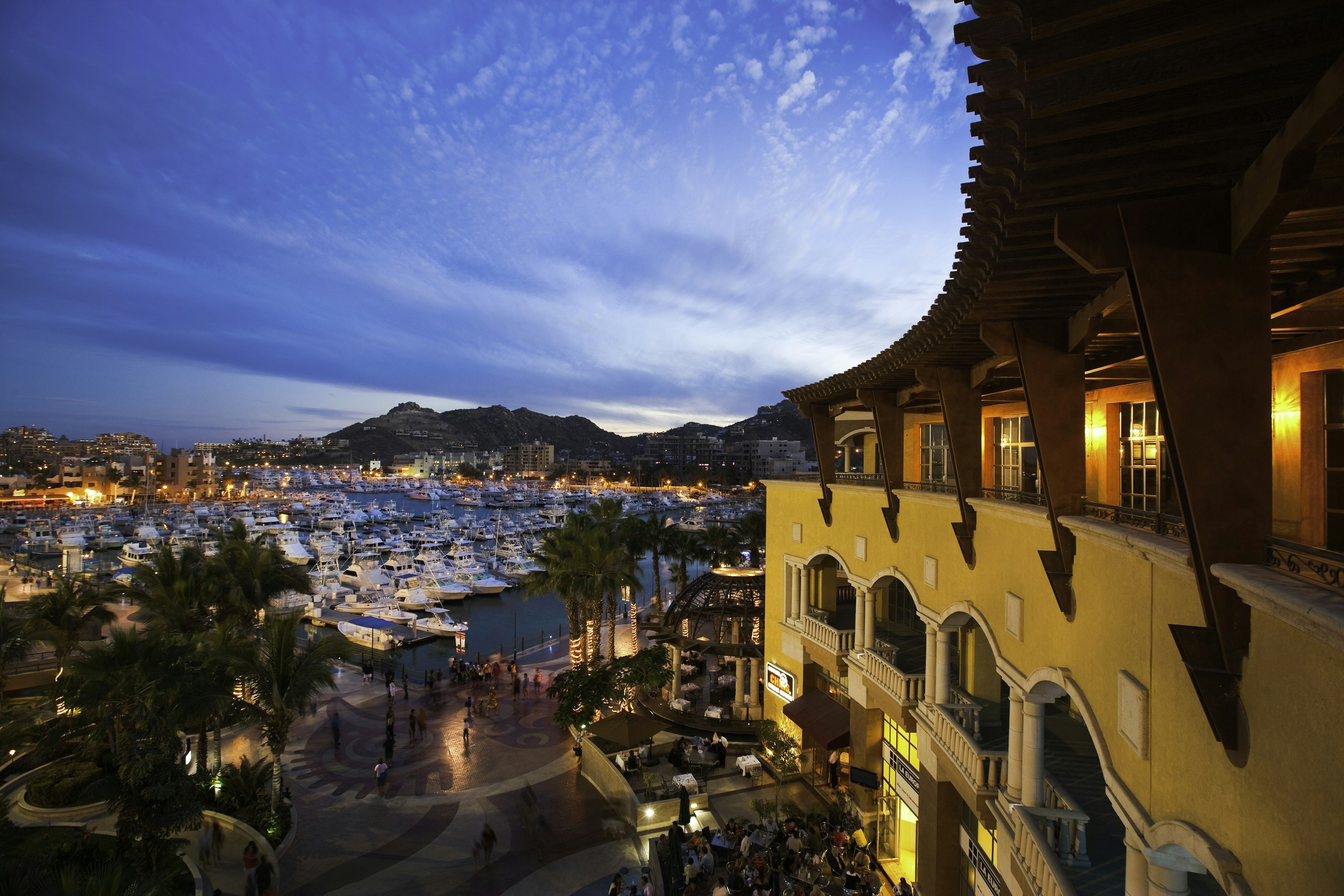 The marina in Cabo San Lucas lit up at night