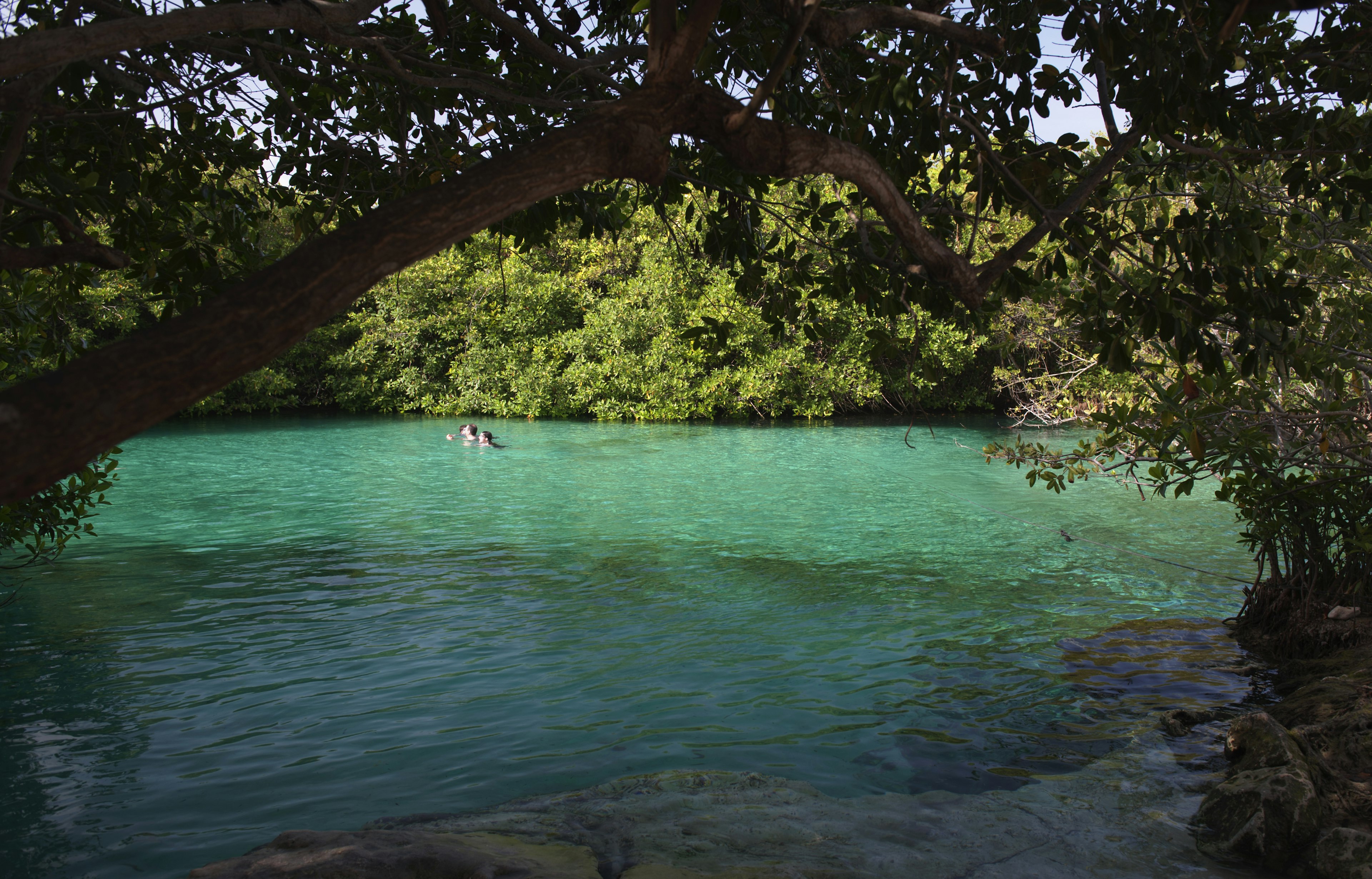 Swimmers paddle in the green waters of a sinkhole surrounded by dense foliage