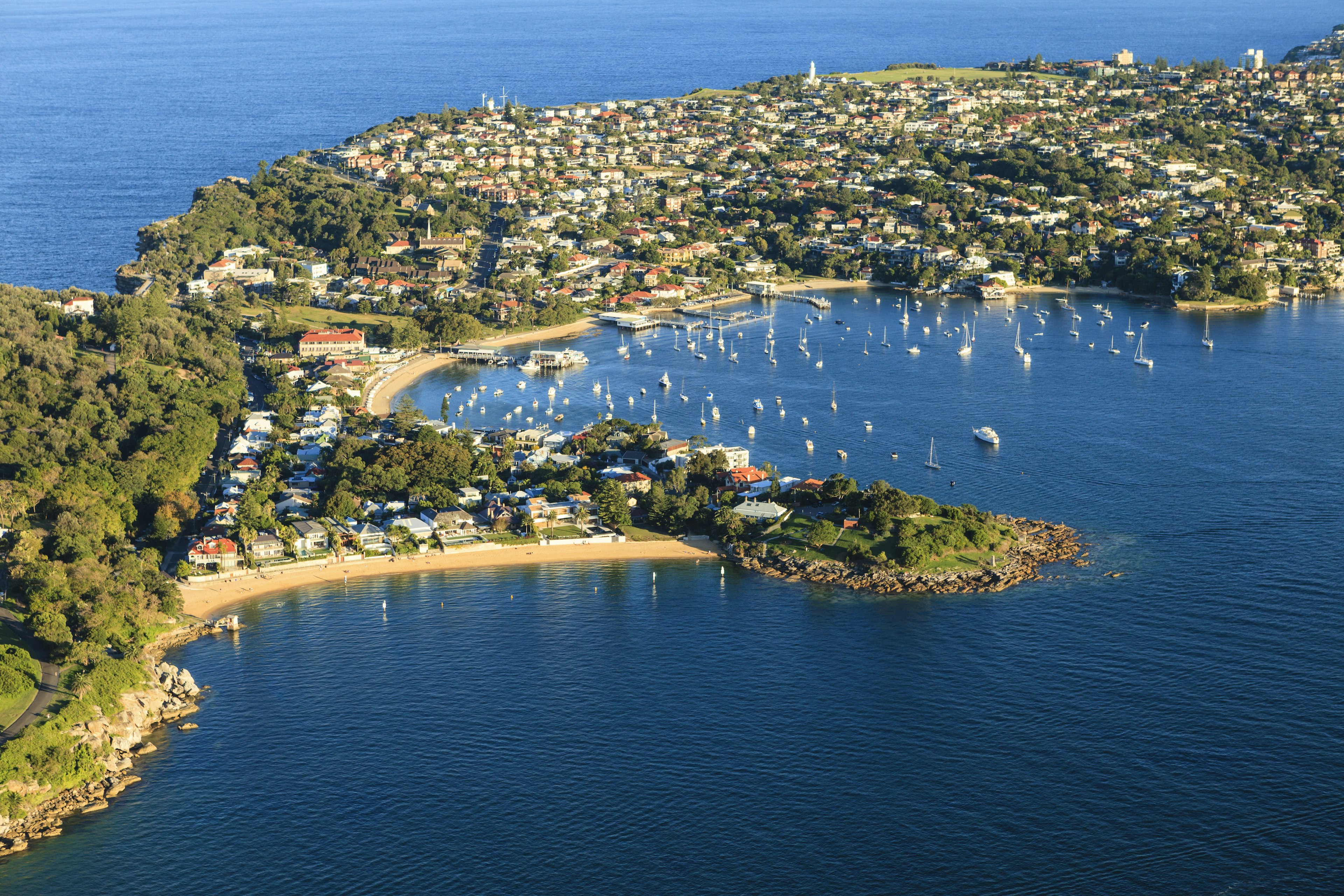 Sydney harbor view - aerial shot of Watsons Bay and Camp Cove