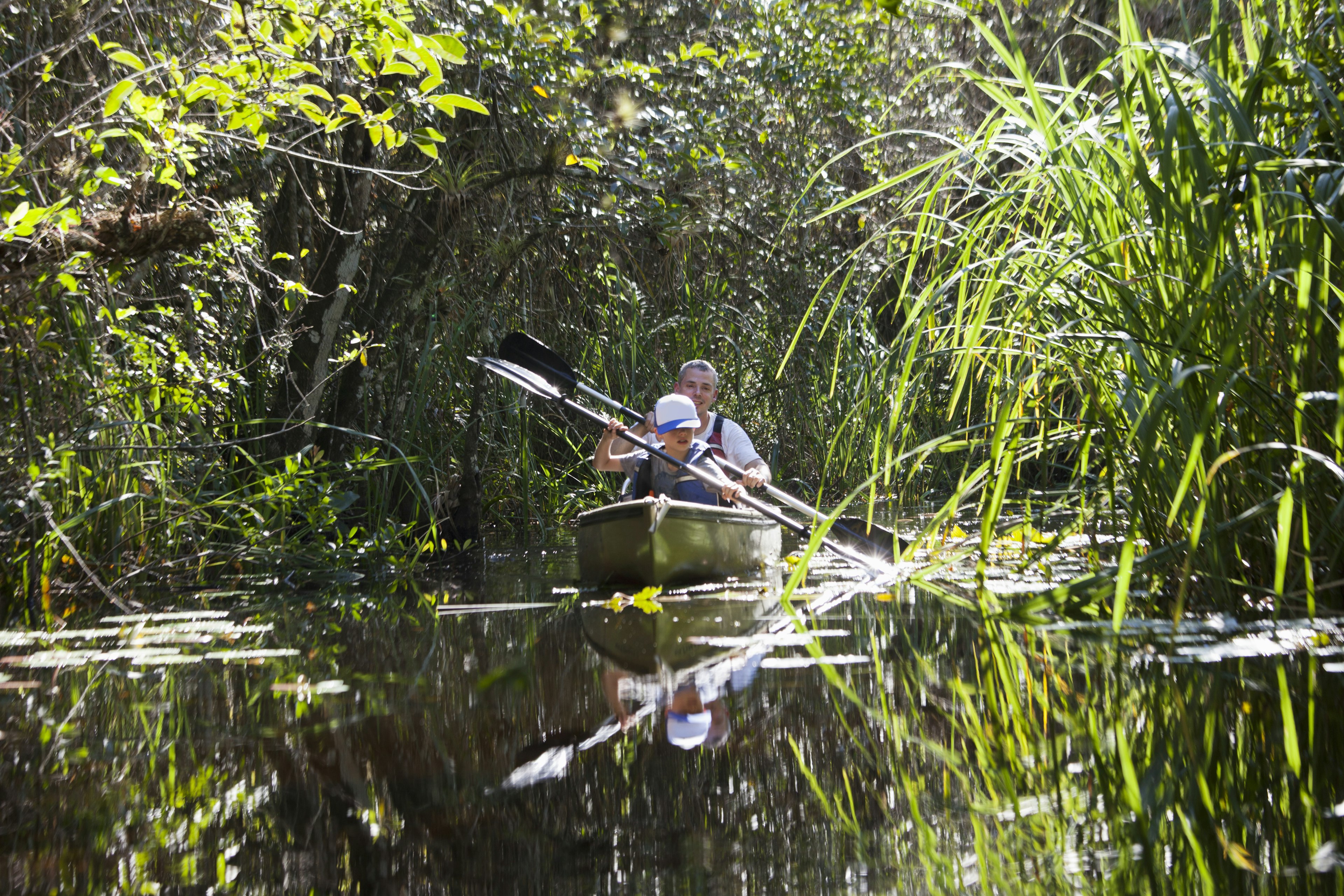 Father and son rowing a boat in the Everglades National Park.