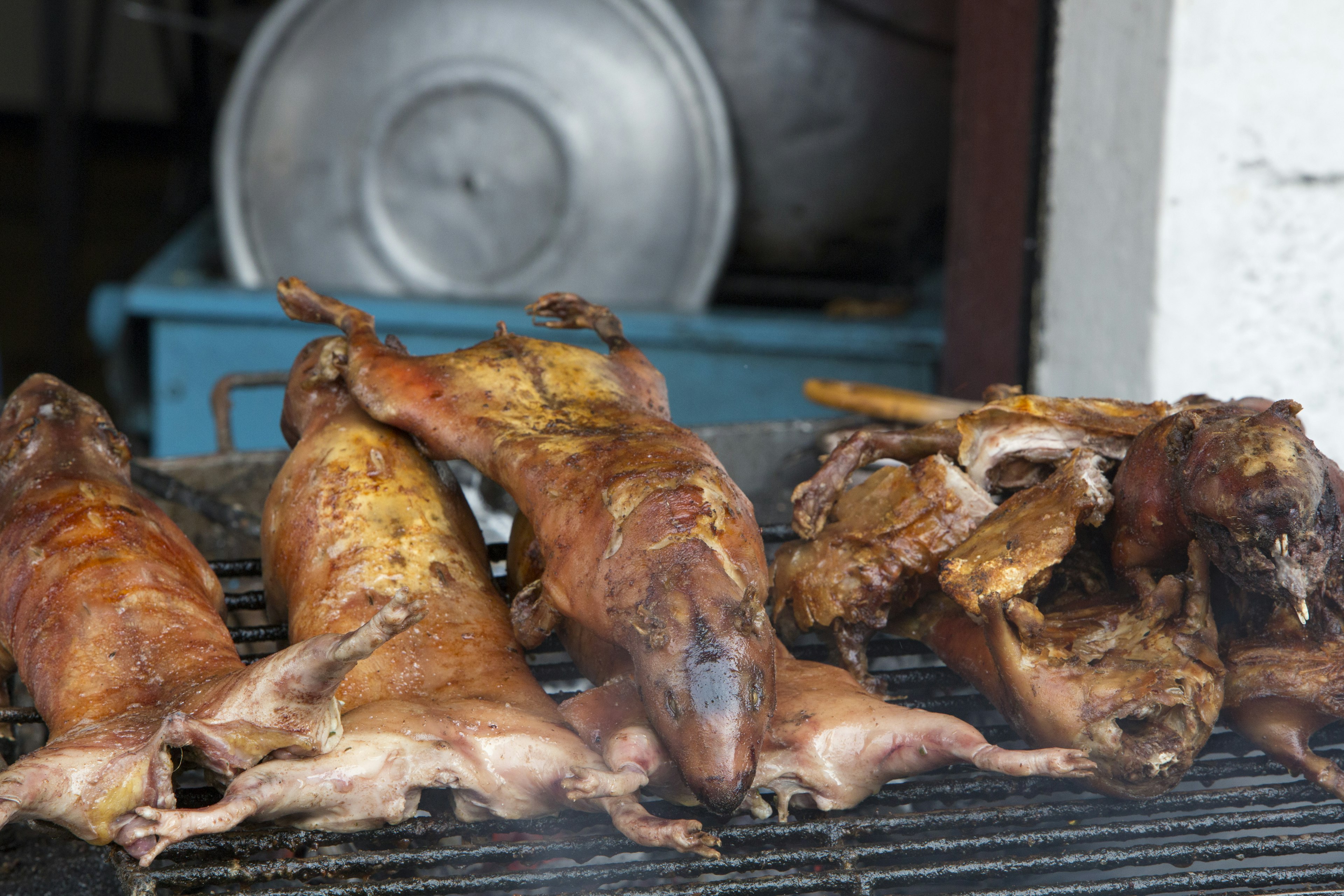 Cooking guinea pigs in Banos, Ecuador.