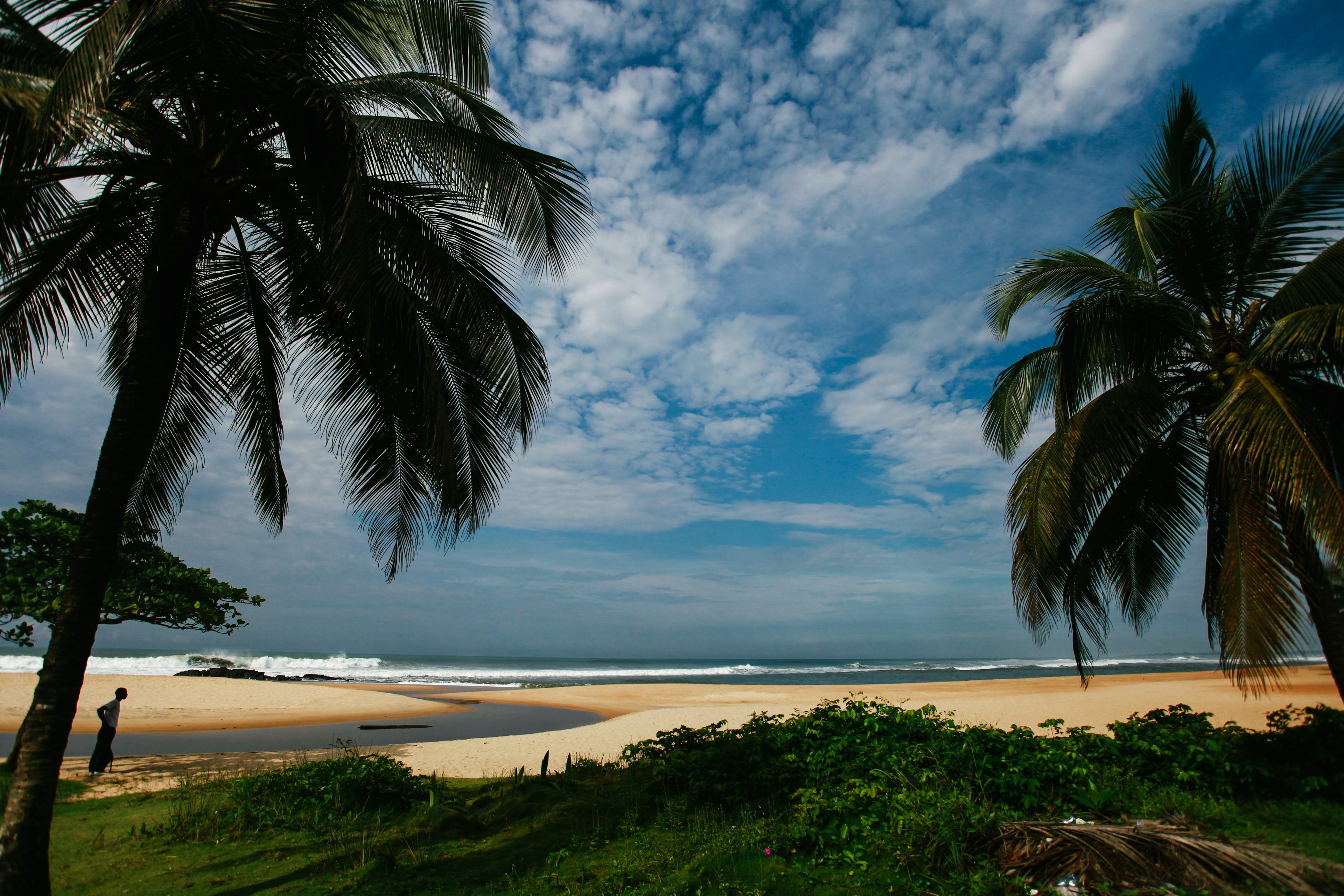 A view out to the sea between two leaning palm trees; visible is a beautiful beach of golden sand and rolling waves crashing on shore.