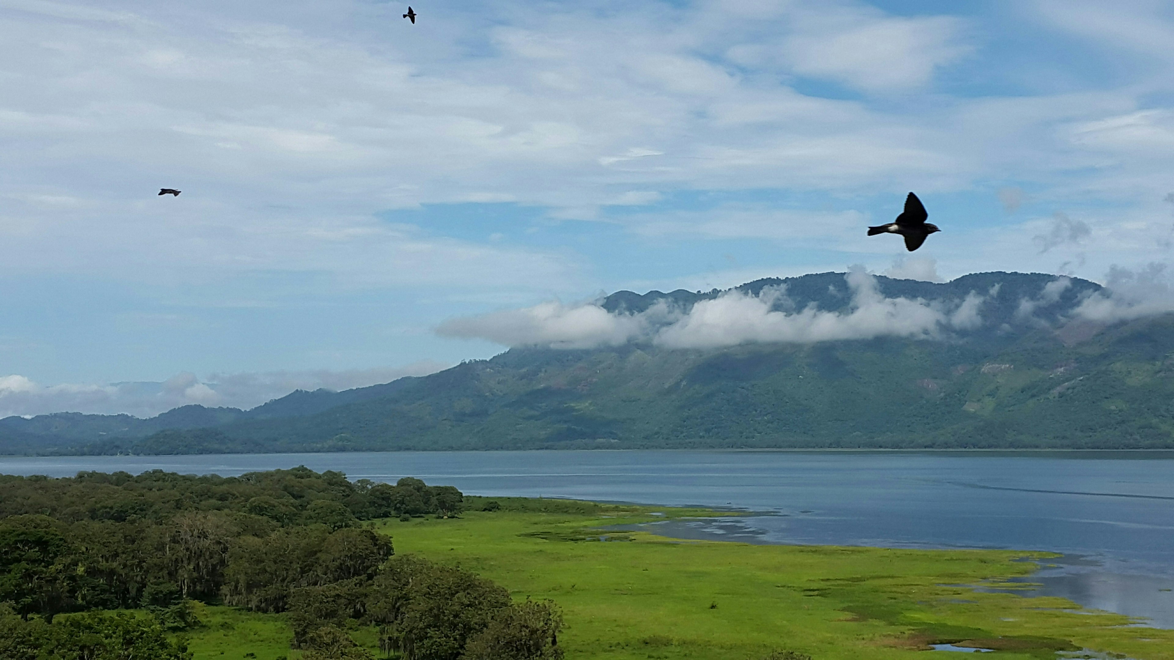 Birds fly over Lago de Yojoa in western Honduras