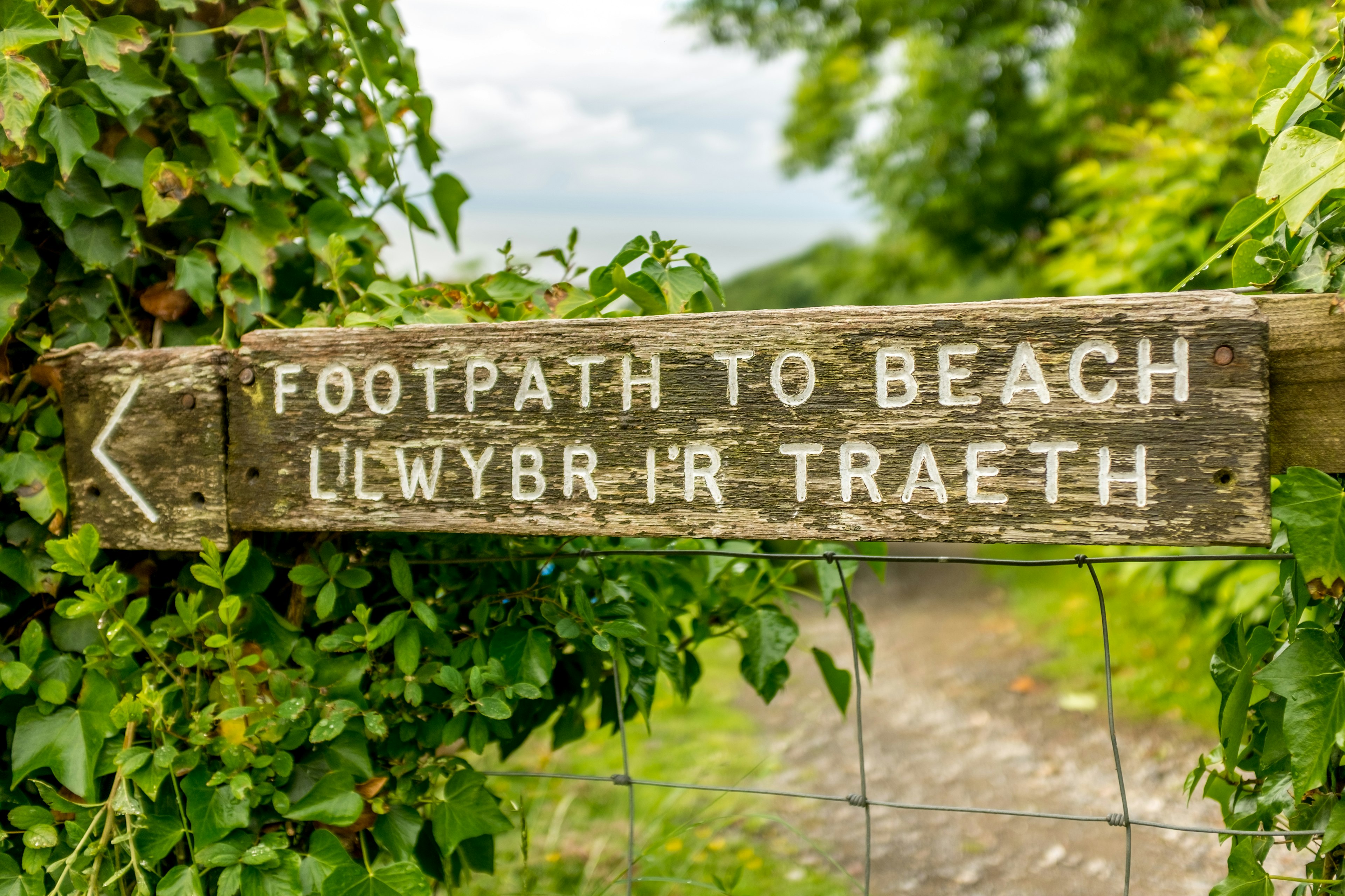 Wooden sign on a wire fence at Three Cliffs Bay: 'Footpath to Beach' in English and 'LLwybr I'r Traeth' in Welsh.