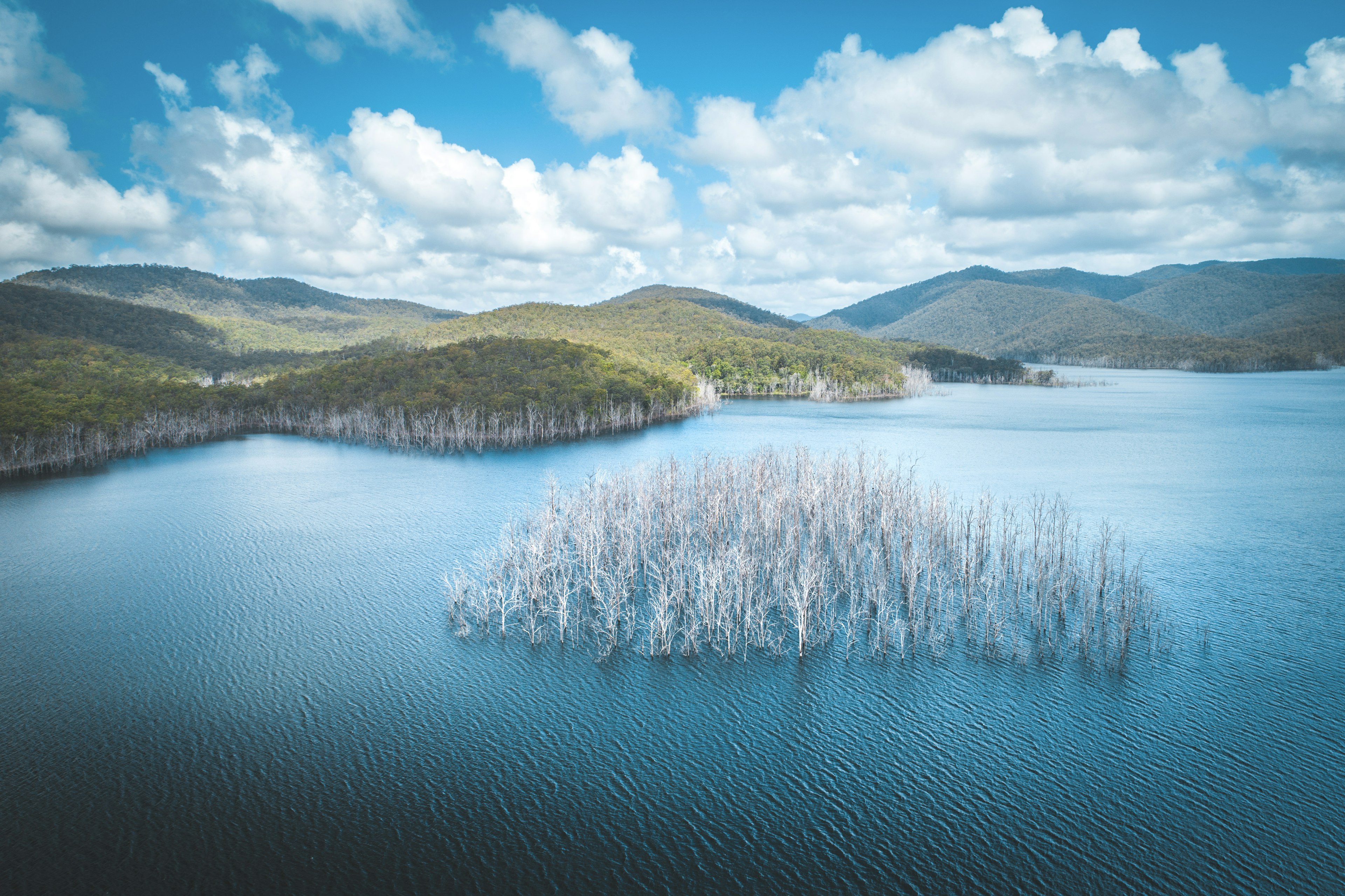 Aerial shot of forest and Advancetown lake in Queensland, Australia.