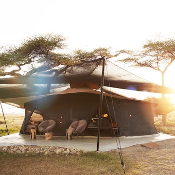 An elegant canvas tent held up by angled metal poles sits suspended beneath an acacia tree on the savanna; there are comfy chairs sitting outside the large tent.