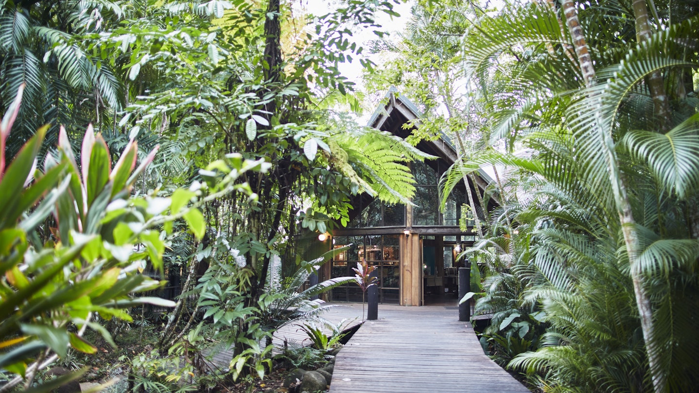A wooden boardwalk is surrounded by leafy tropical plants. A wooden lodge is hidden in the background.