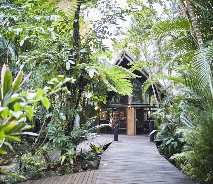 A wooden boardwalk is surrounded by leafy tropical plants. A wooden lodge is hidden in the background.