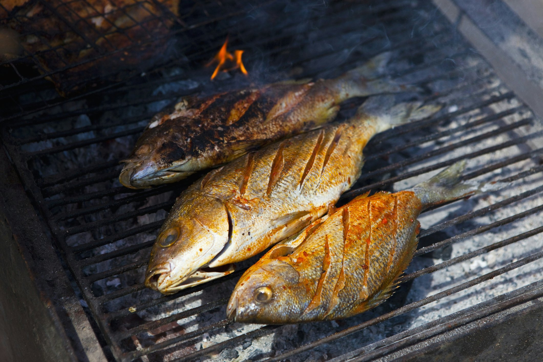 Grilled red snapper in Puerto Vallarta, Mexico.