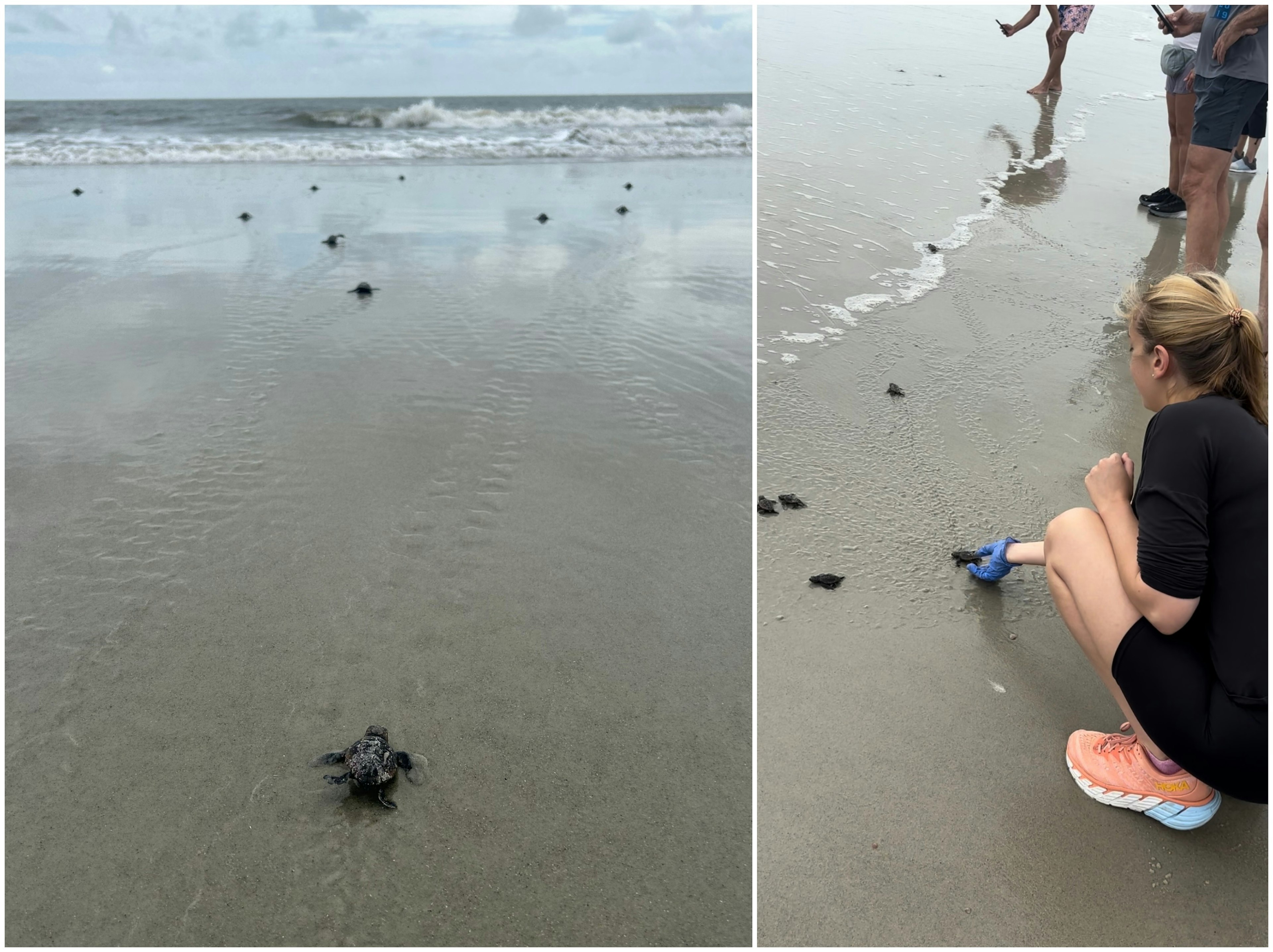 Ann Douglas with Sea Turtles