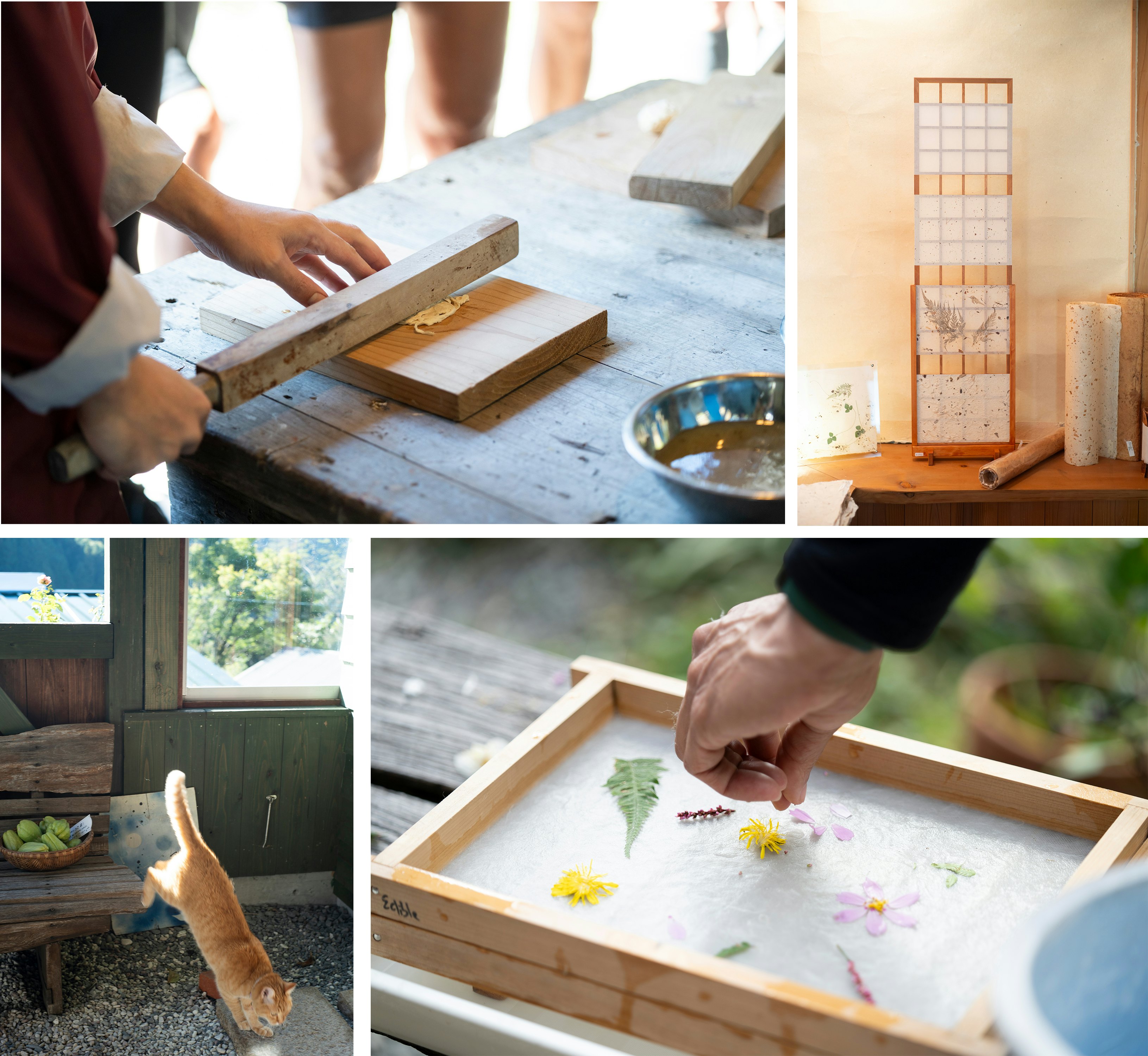 The Washi paper-making process at Kamikoya. Masayuki Nakaya for Lonely Planet.