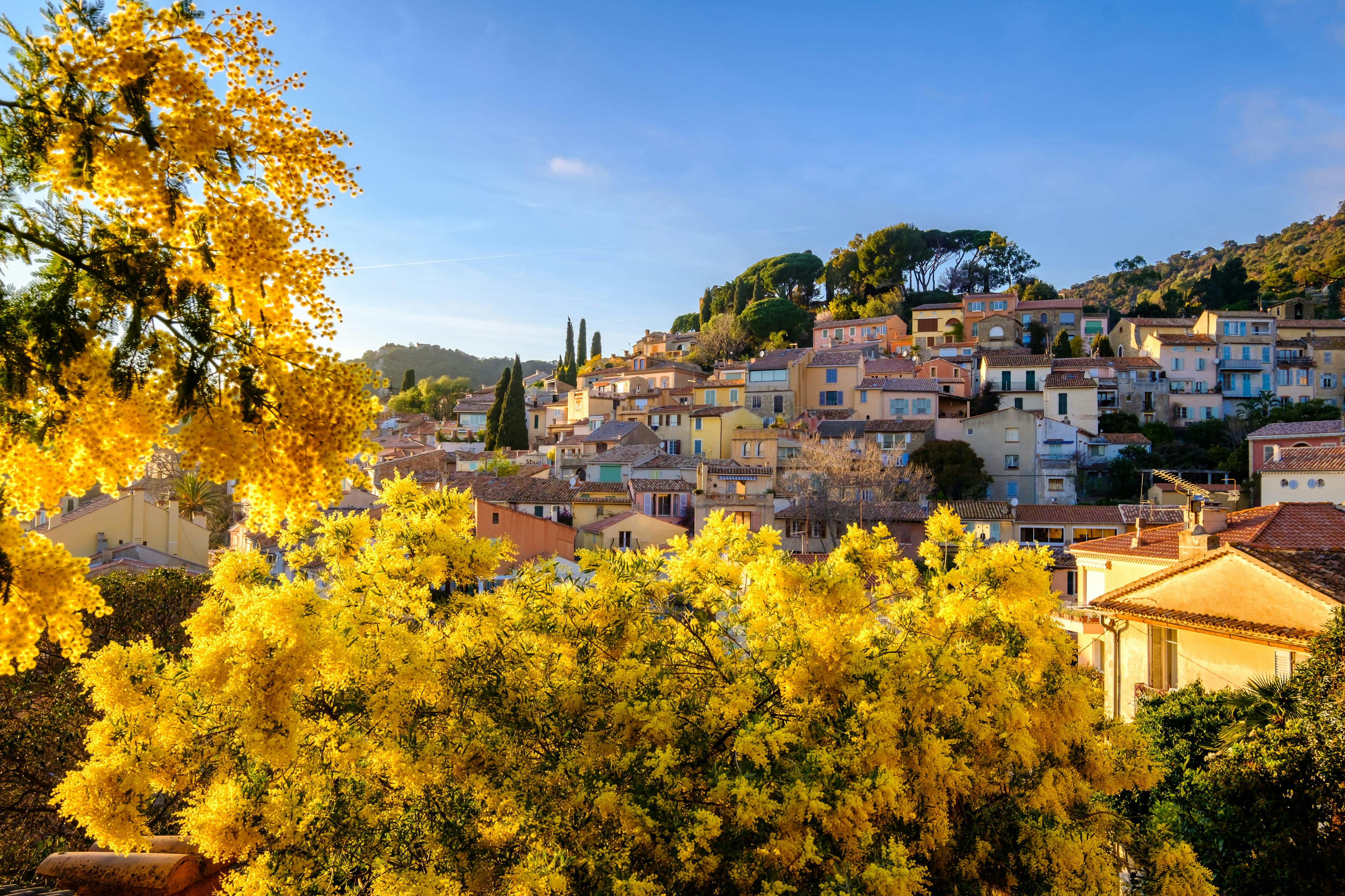 Panoramic view on the village of Bormes les Mimosas, Provence, France in the winter.