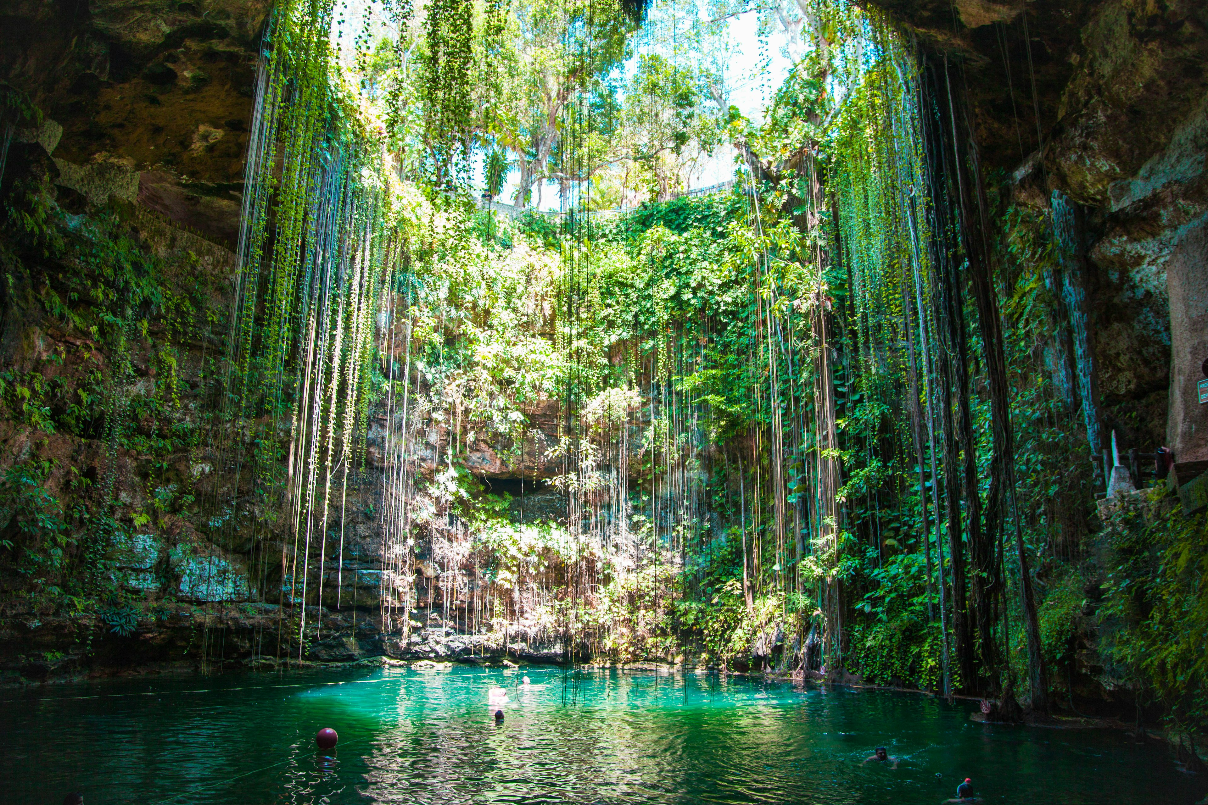 Vines hang down through the opening into an underground cavern, with people swimming in the water below