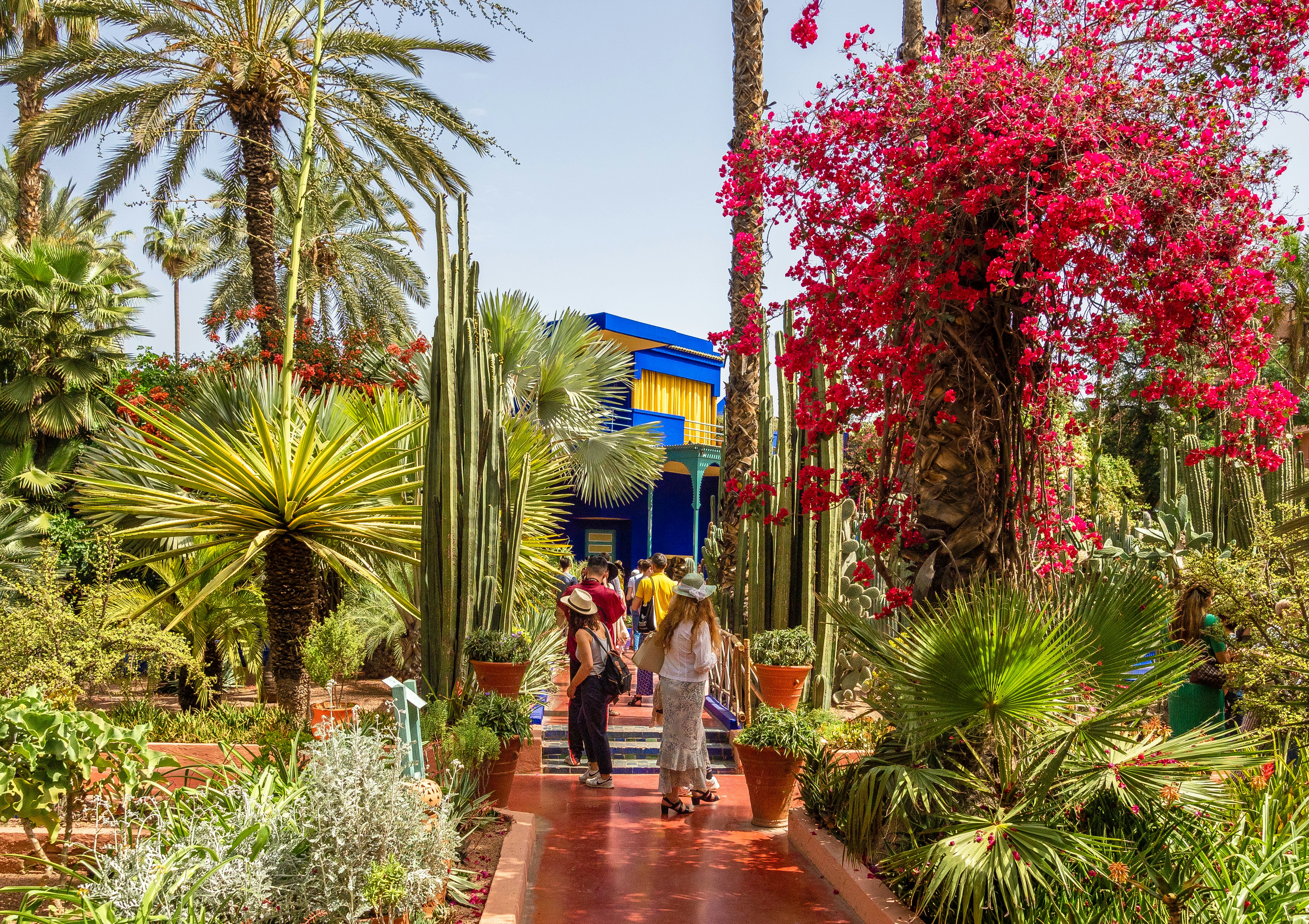 Visitors in the Le Jardin Majorelle, Marrakech, Morocco