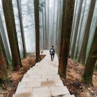 Male tourist walking down the stone stair in the Japanese Cedar Forest with fog in Alishan National Forest Recreation Area in winter in Chiayi County, Alishan Township, Taiwan. License Type: media Download Time: 2023-05-11T13:03:51.000Z User: aomi.ito_lonelyplanet Is Editorial: No purchase_order: