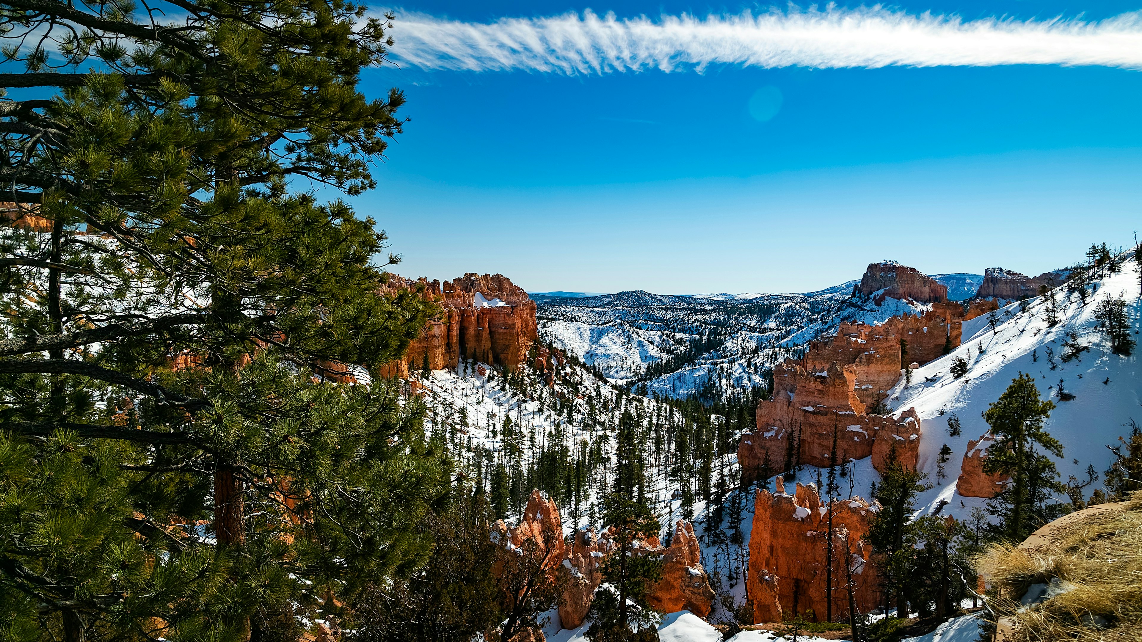 Snow sits on the rocky red landscape of Bryce National Park in Utah with a fir tree in the foreground.