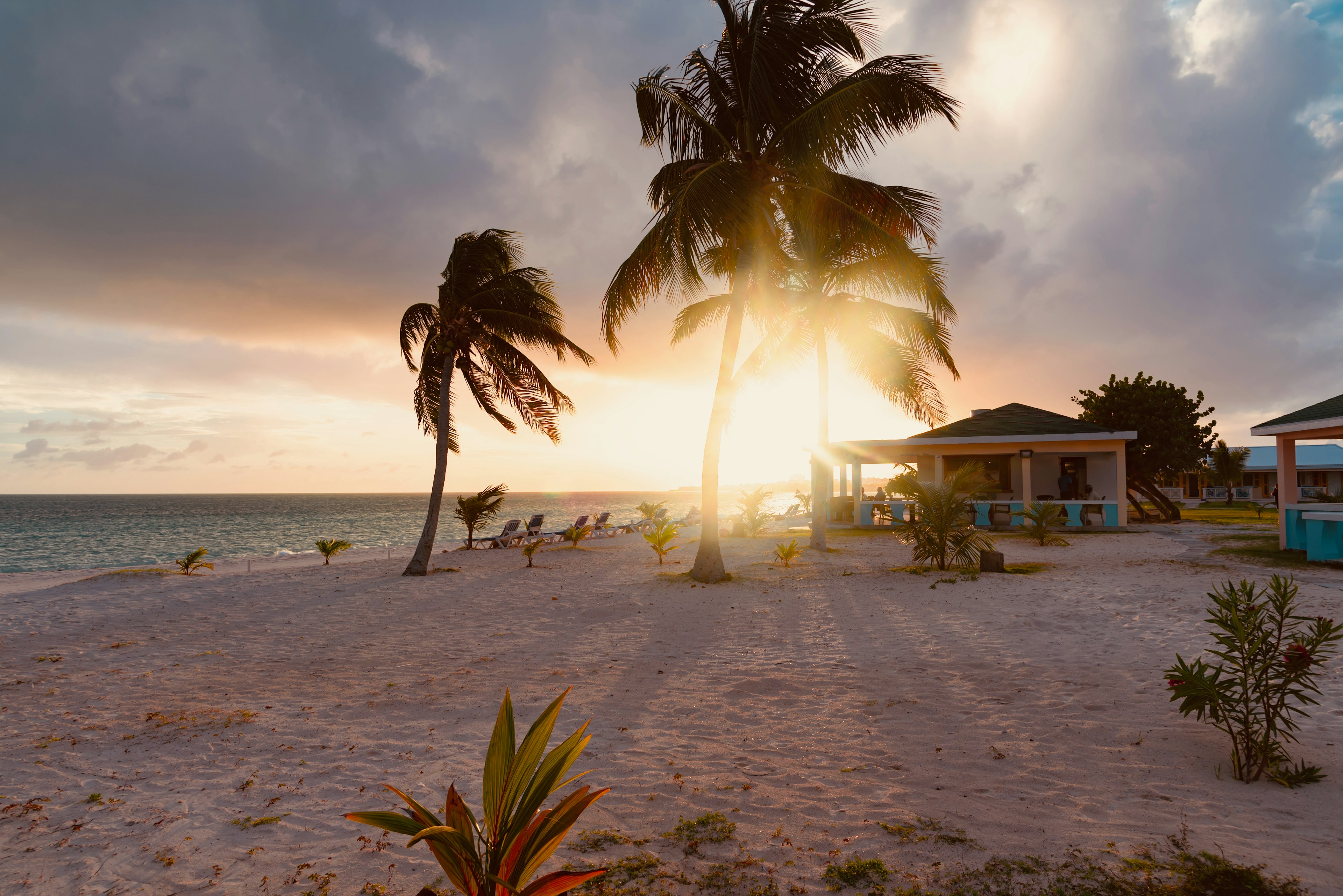 The sun sets behind a beach hut and palm trees on a windy day.